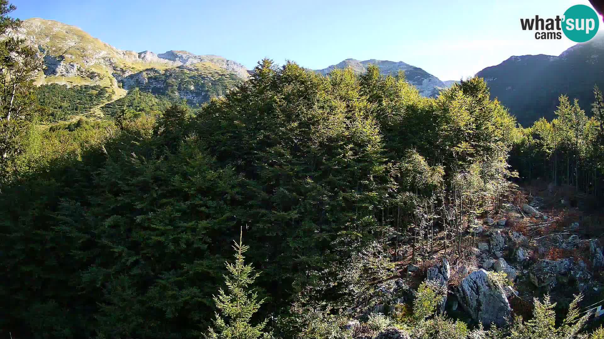 Cámara web PLANINA RAZOR (1315) | vista a Vogel y Globoko