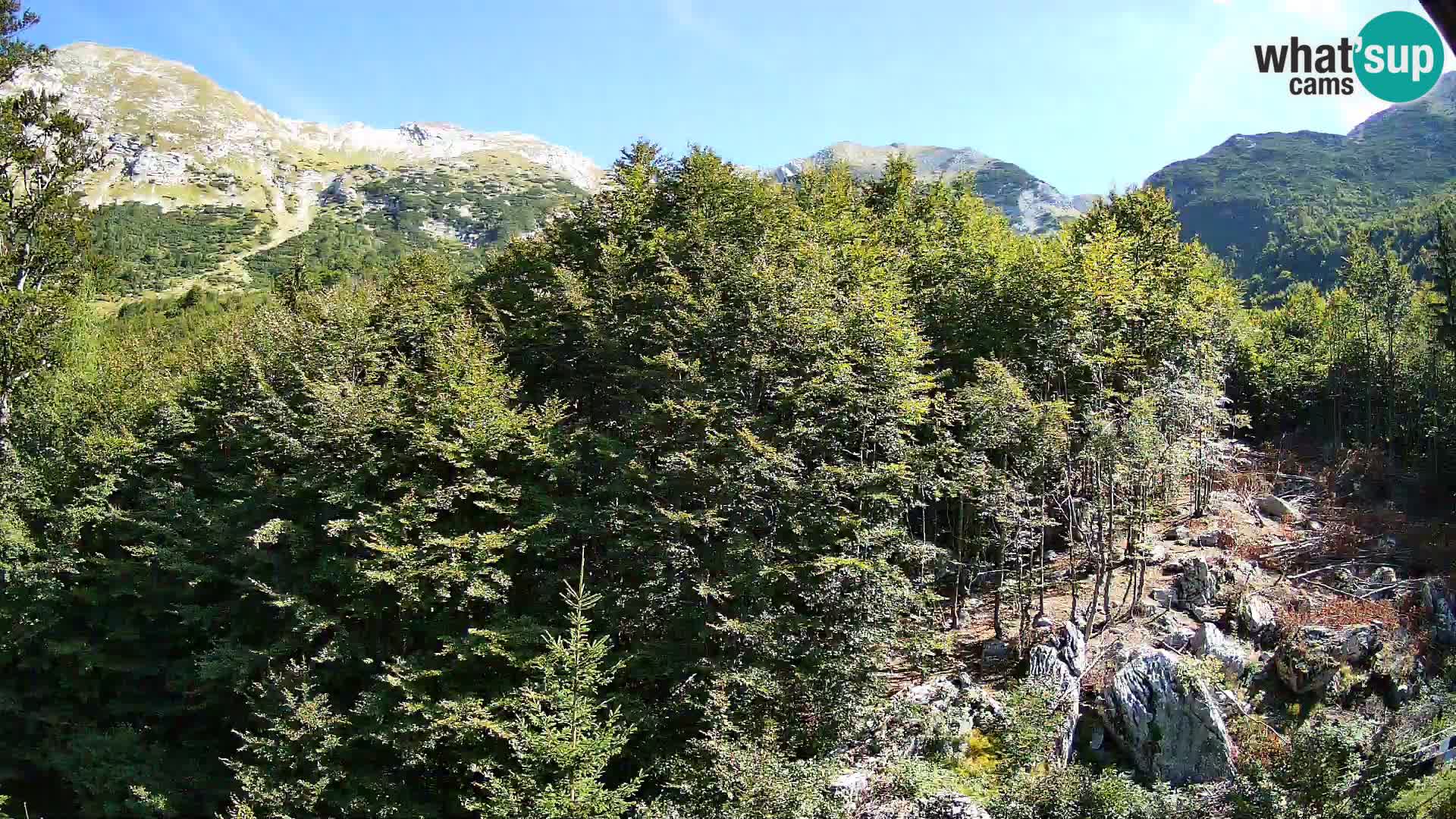 PLANINA RAZOR kamera (1315) | pogled na Vogel in Globoko