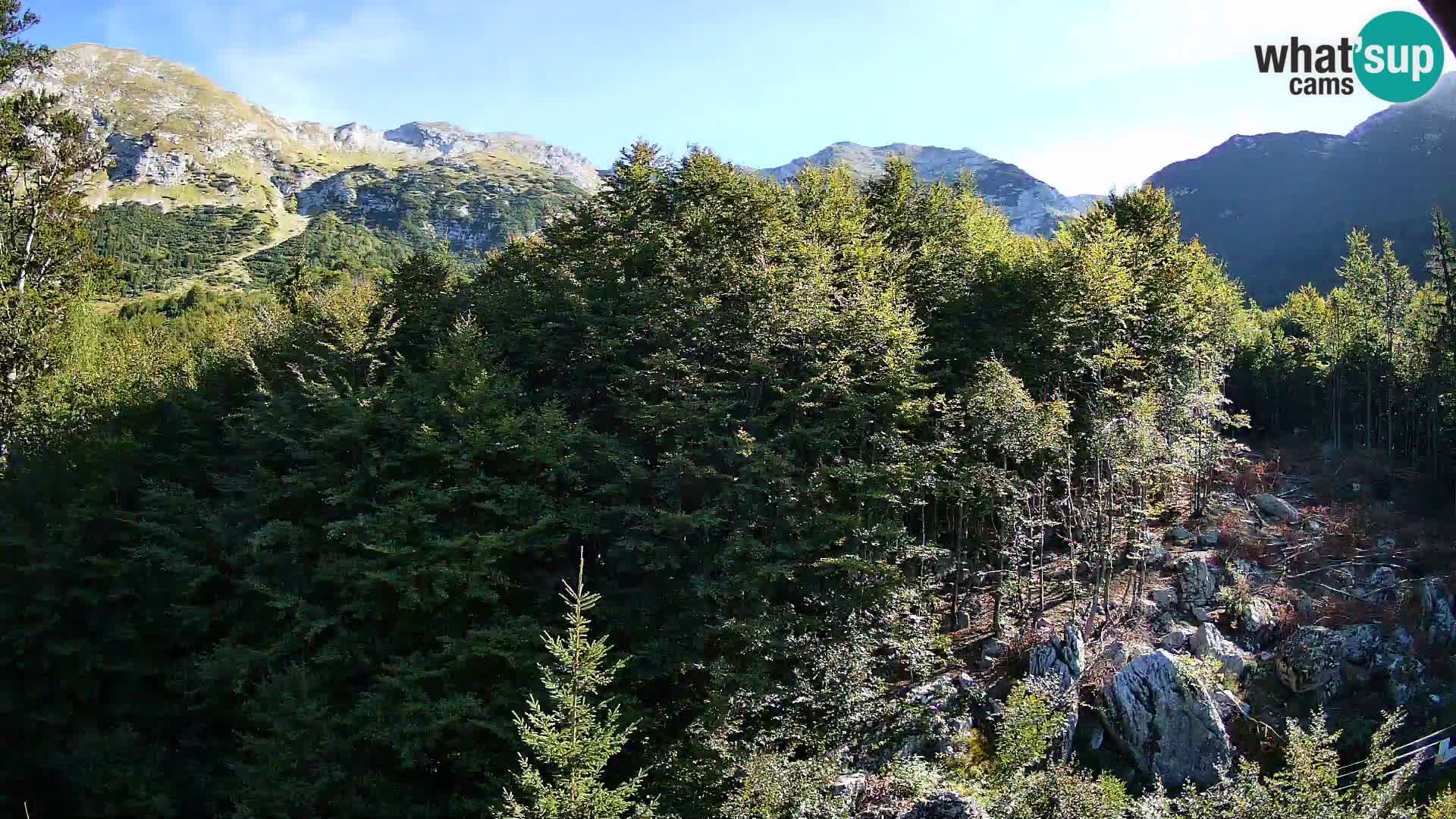 Livecam PLANINA RAZOR (1315) | vue sur Vogel et Globoko