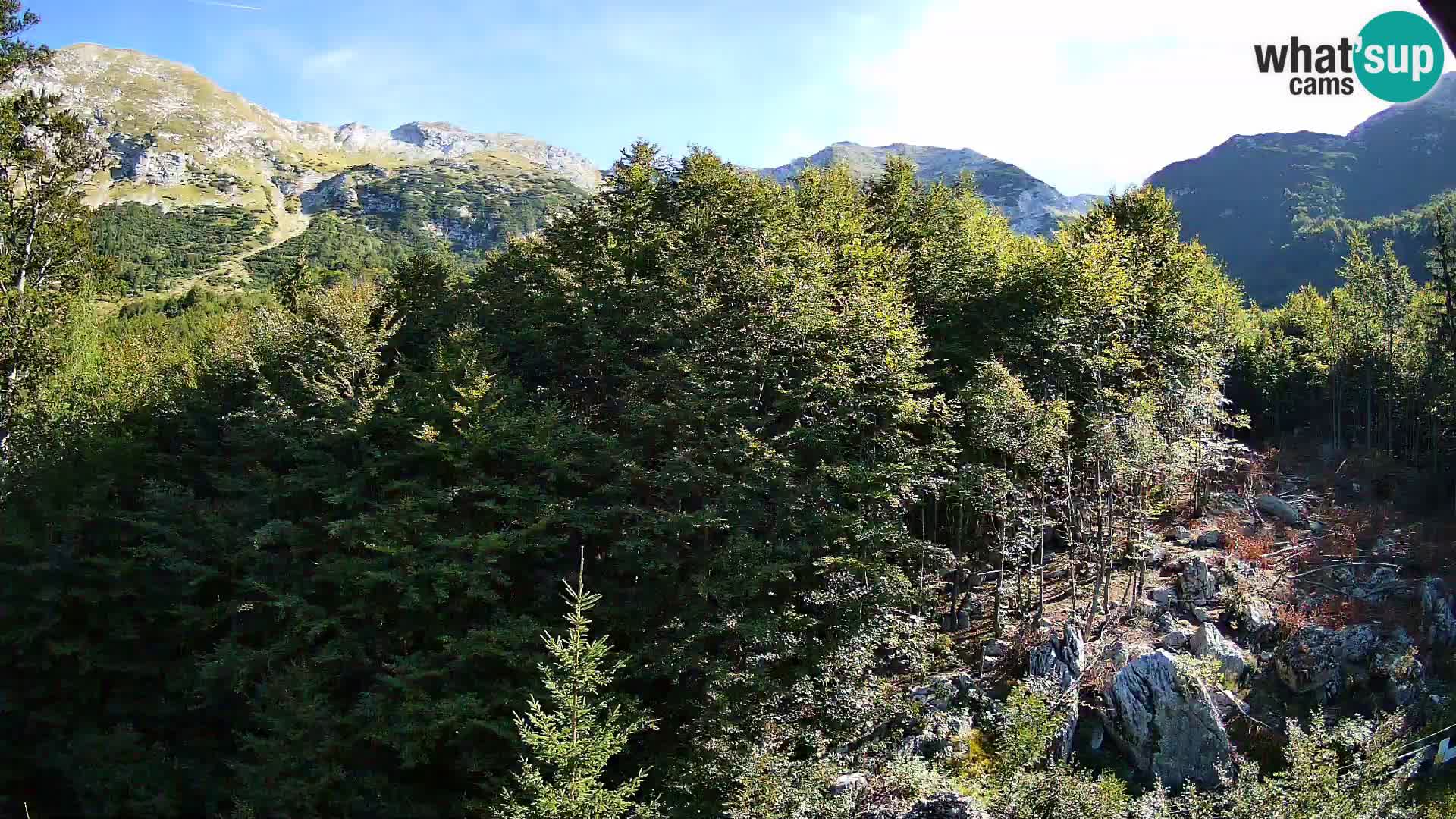 PLANINA RAZOR webcam (1315) | view to Vogel and Globoko