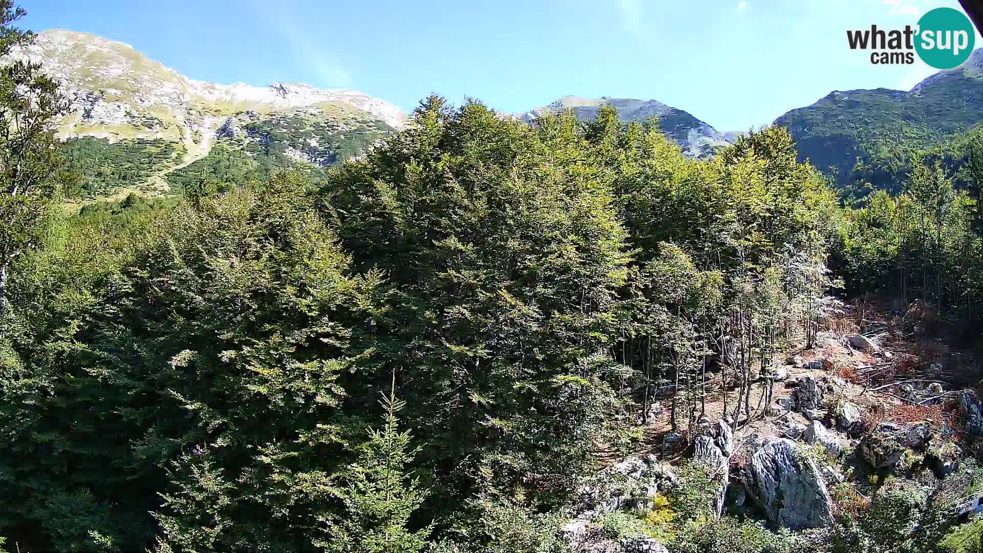 PLANINA RAZOR web kamera (1315) | pogled na Vogel i Globoko