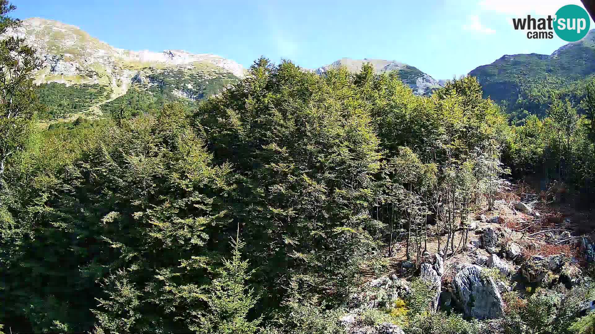 PLANINA RAZOR kamera (1315) | pogled na Vogel in Globoko