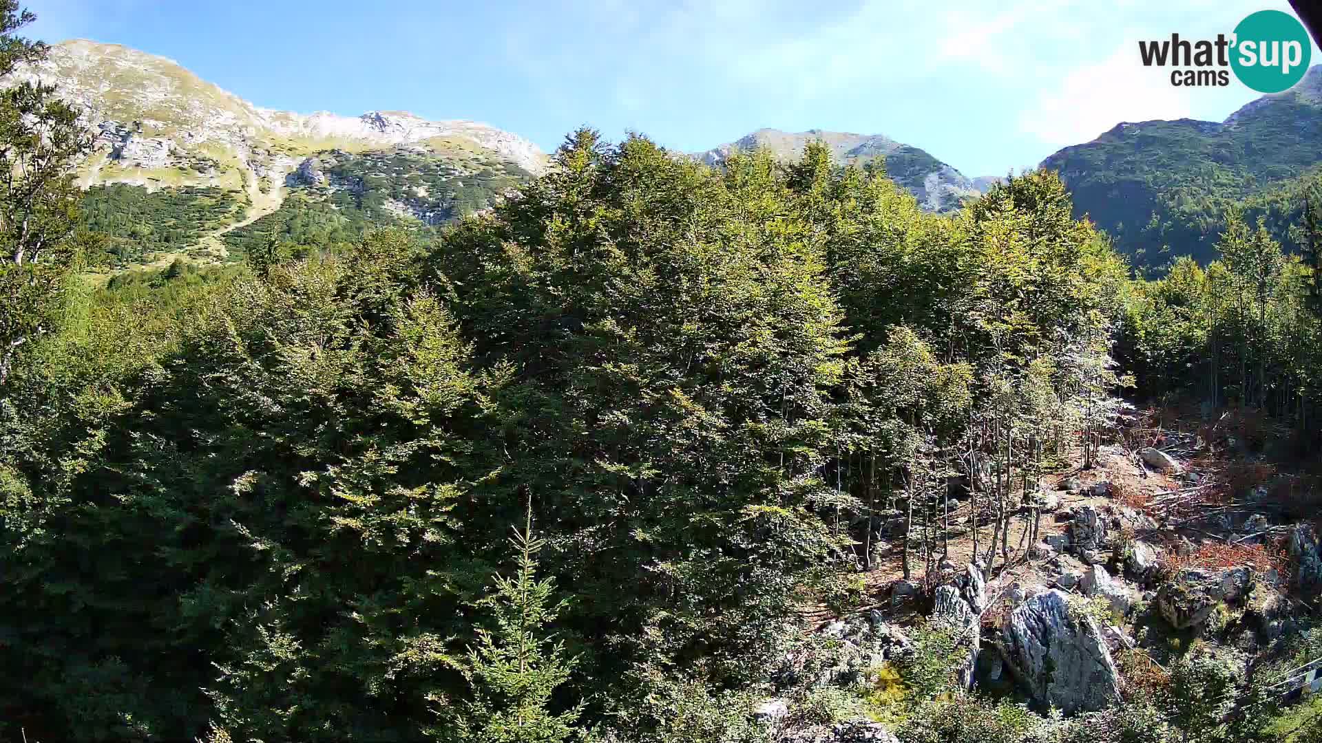 Cámara web PLANINA RAZOR (1315) | vista a Vogel y Globoko