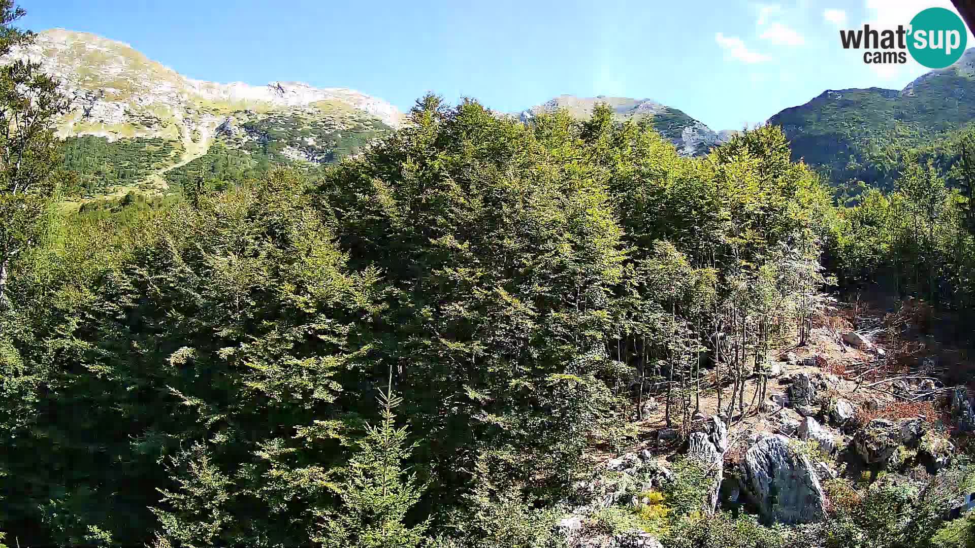 Cámara web PLANINA RAZOR (1315) | vista a Vogel y Globoko