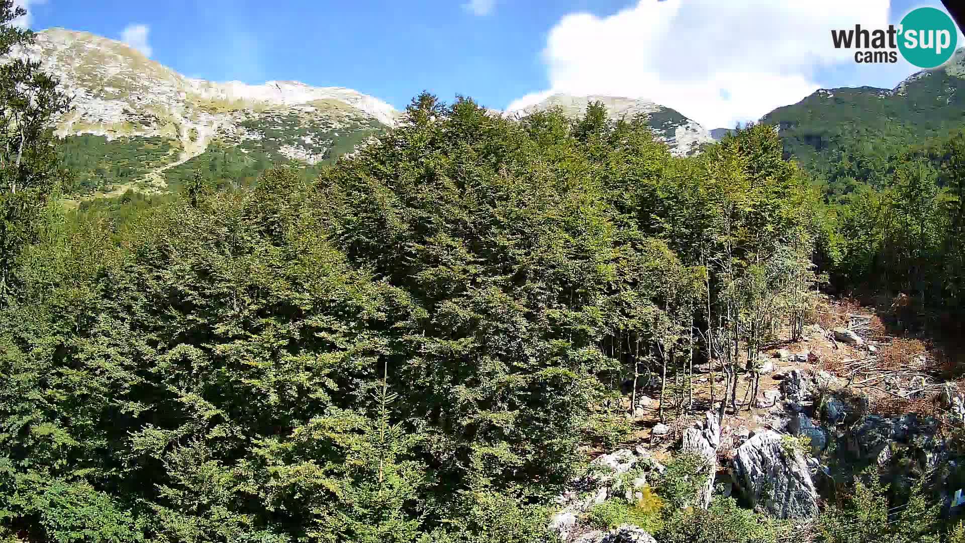 Livecam PLANINA RAZOR (1315) | vue sur Vogel et Globoko