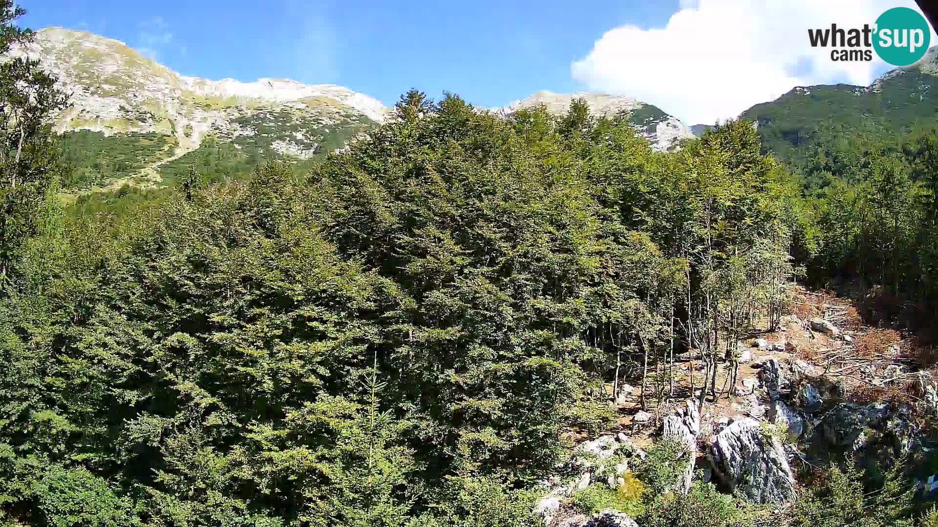 Webcam PLANINA RAZOR (1315) | Blick auf Vogel und Globoko