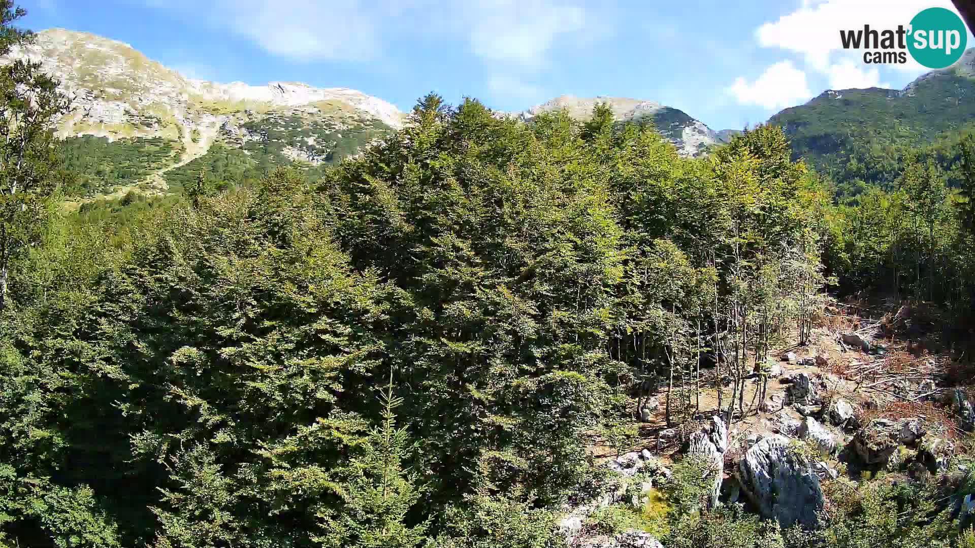 PLANINA RAZOR kamera (1315) | pogled na Vogel in Globoko