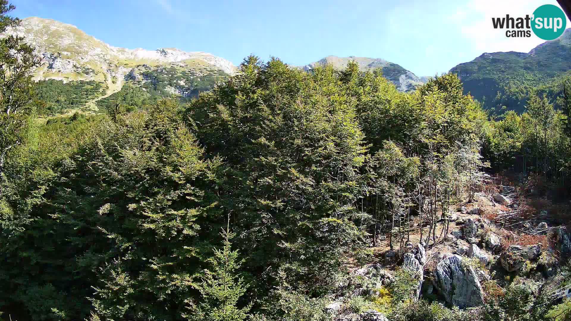 Livecam PLANINA RAZOR (1315) | vue sur Vogel et Globoko