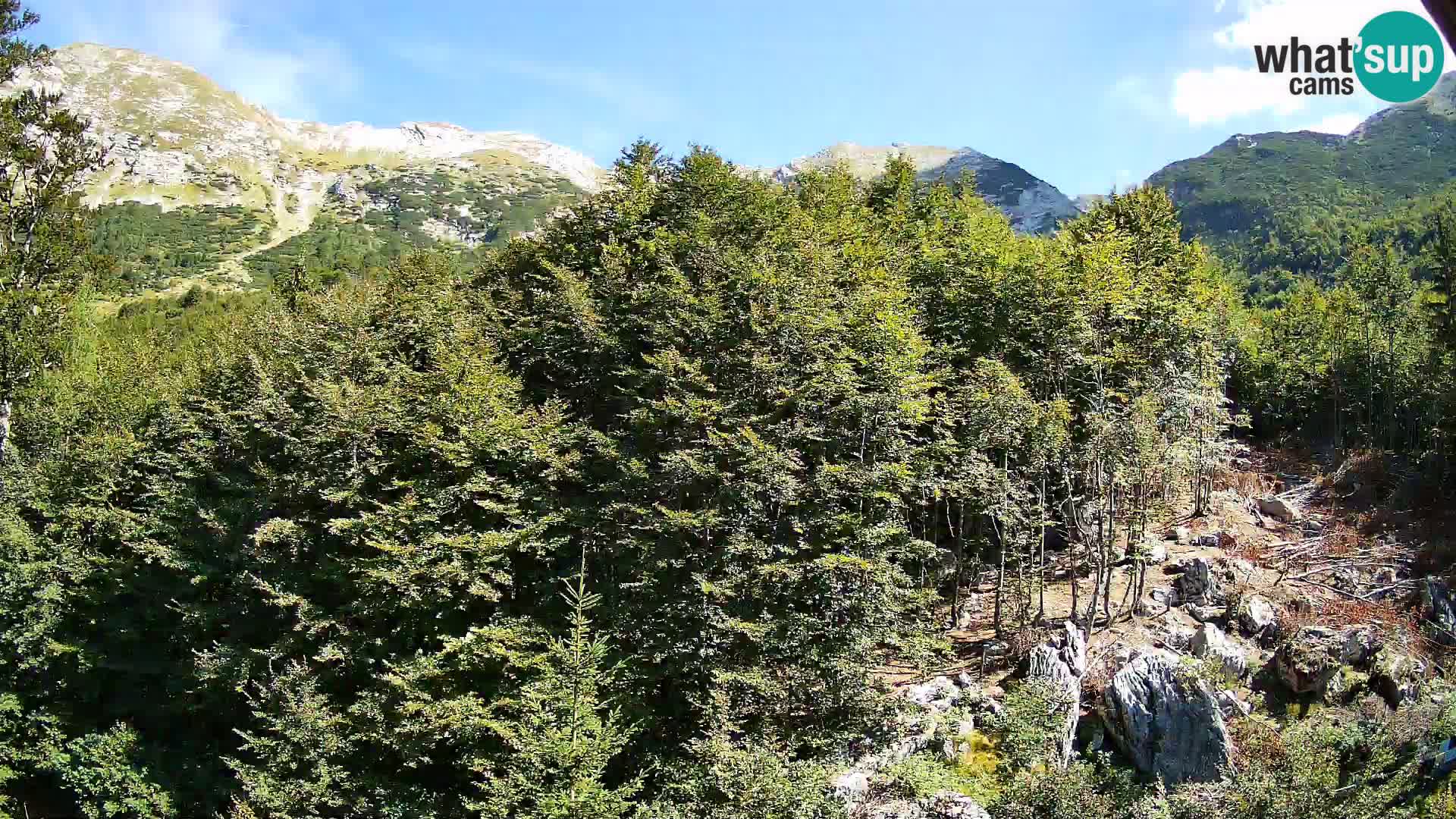 PLANINA RAZOR web kamera (1315) | pogled na Vogel i Globoko