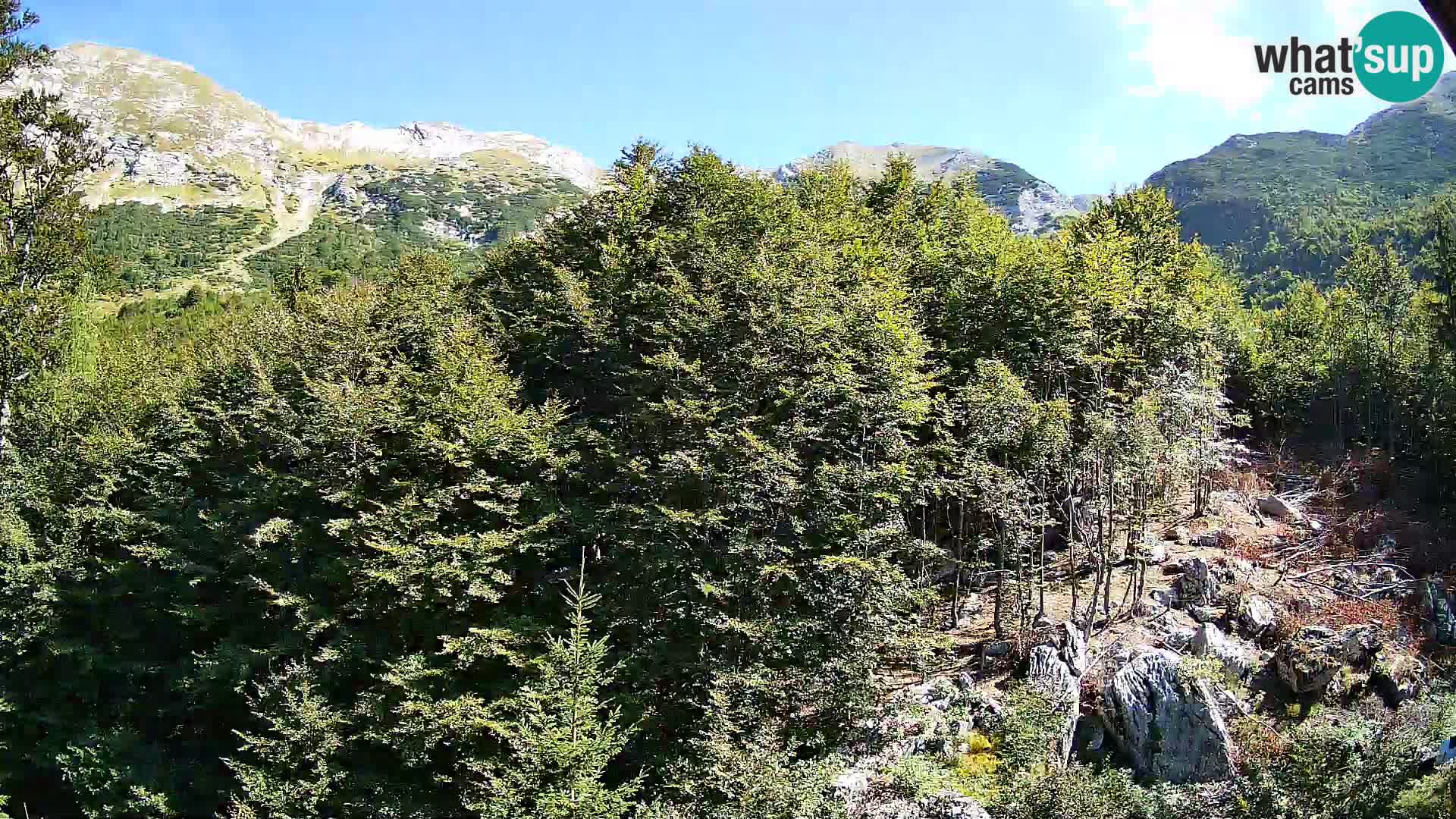 PLANINA RAZOR kamera (1315) | pogled na Vogel in Globoko