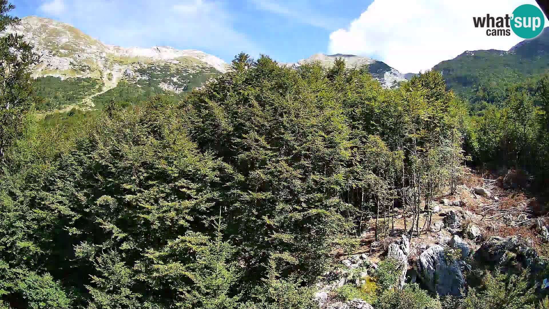 PLANINA RAZOR Live Cam (1315) | vista su Vogel e Globoko