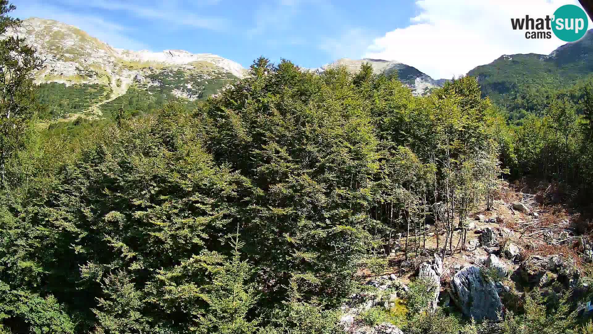 Cámara web PLANINA RAZOR (1315) | vista a Vogel y Globoko