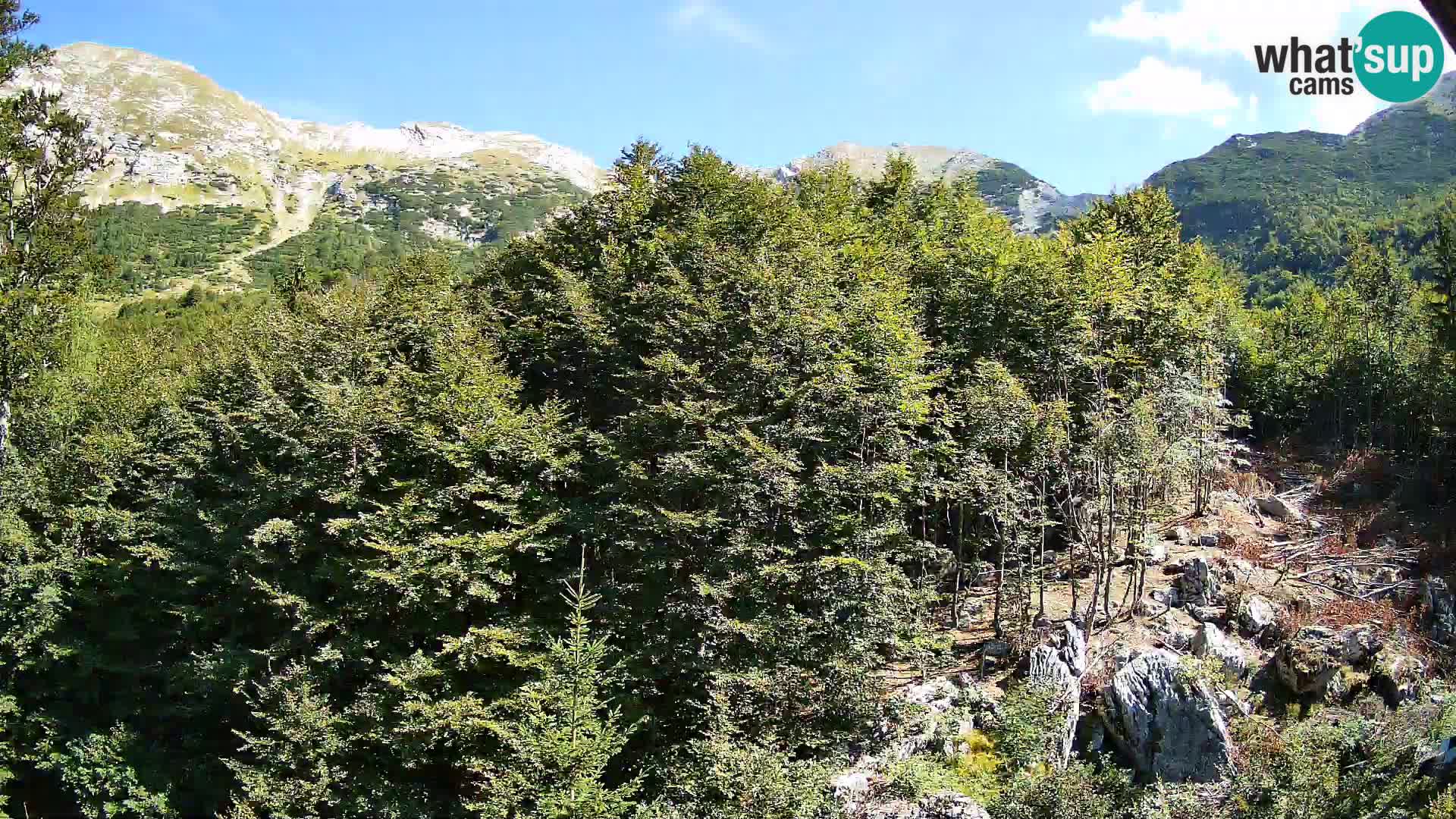Livecam PLANINA RAZOR (1315) | vue sur Vogel et Globoko
