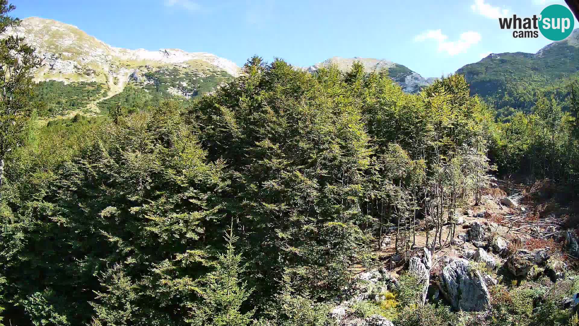 Cámara web PLANINA RAZOR (1315) | vista a Vogel y Globoko
