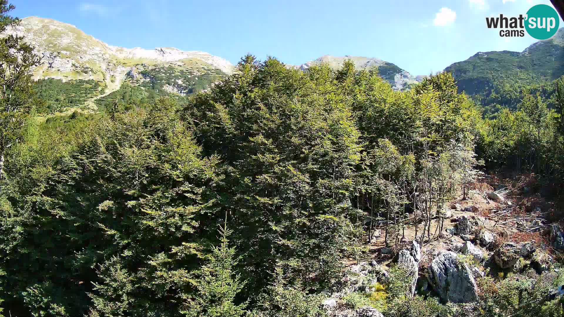 Cámara web PLANINA RAZOR (1315) | vista a Vogel y Globoko