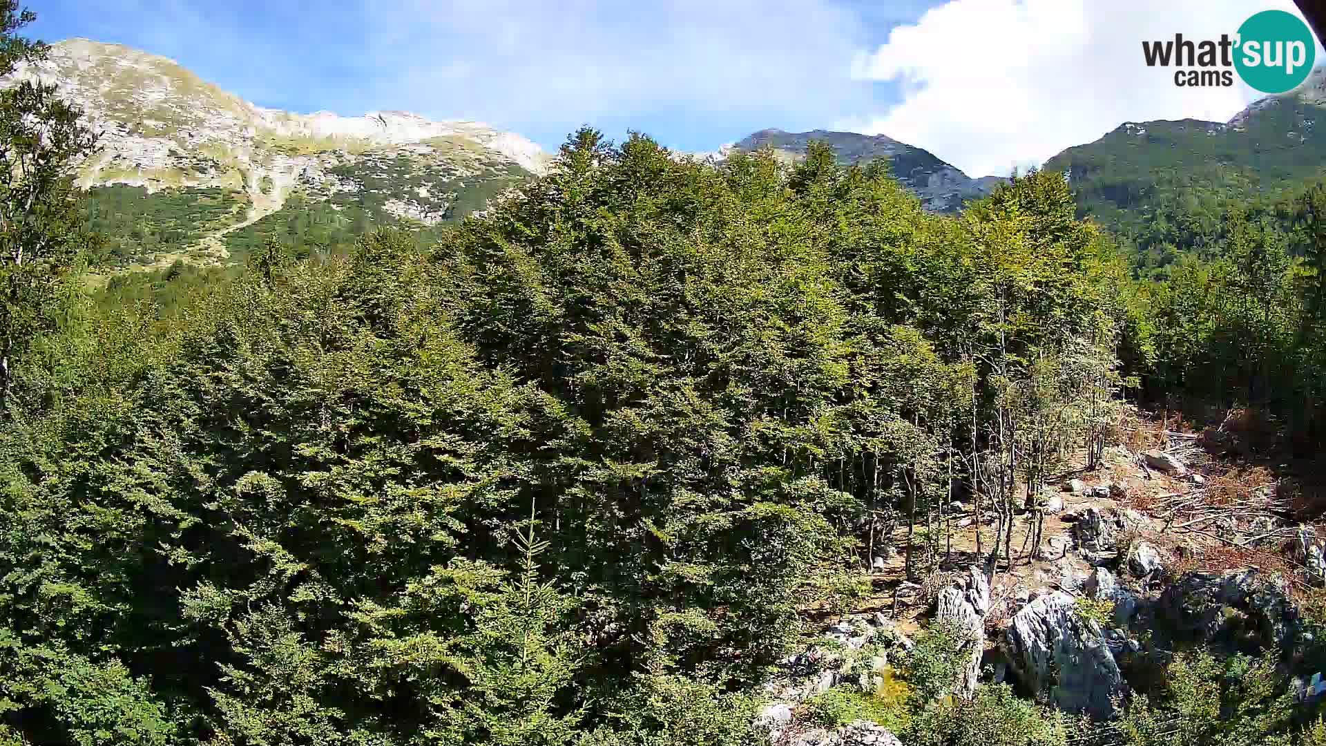 Livecam PLANINA RAZOR (1315) | vue sur Vogel et Globoko