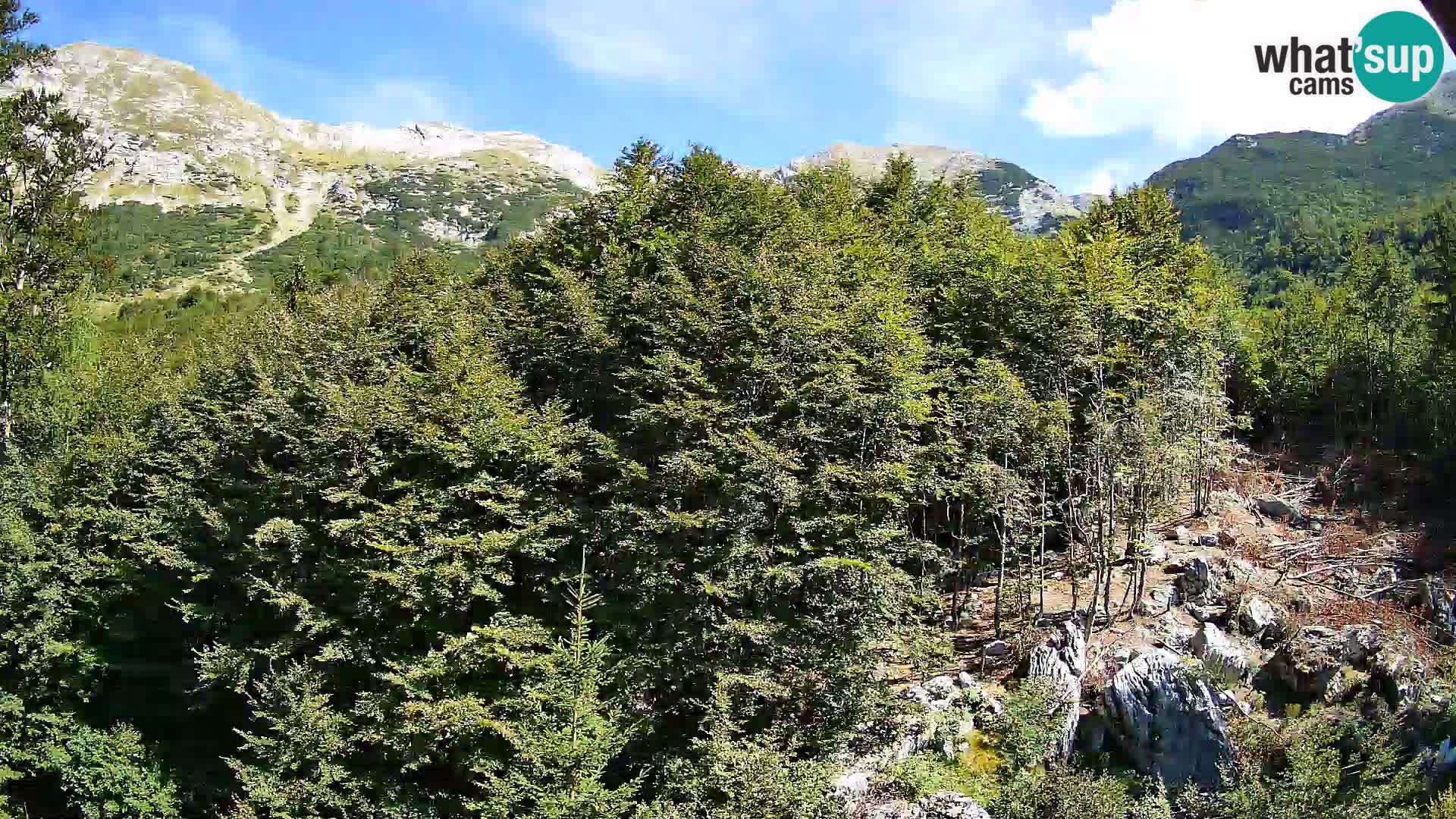 PLANINA RAZOR webcam (1315) | view to Vogel and Globoko