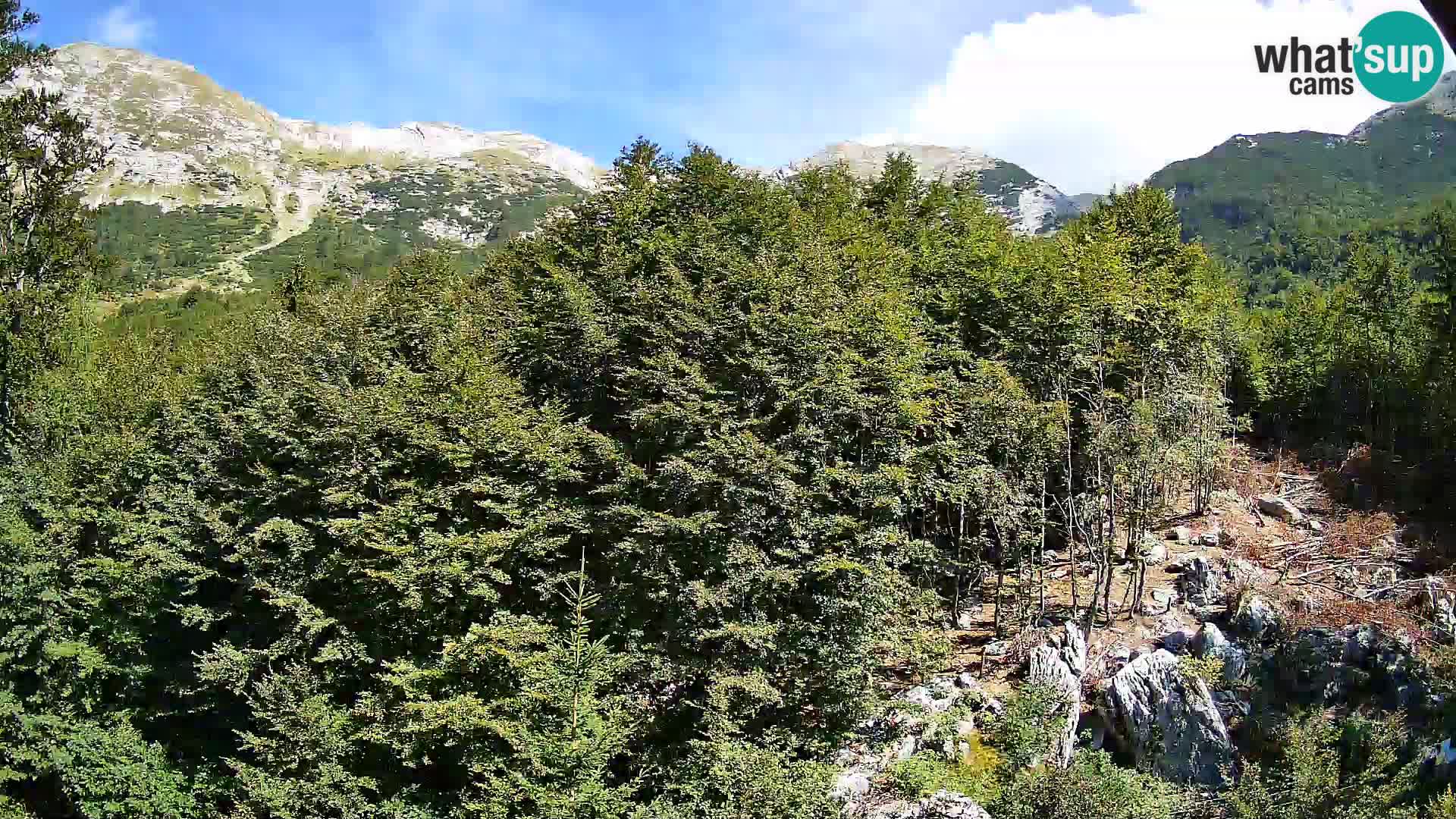 Cámara web PLANINA RAZOR (1315) | vista a Vogel y Globoko
