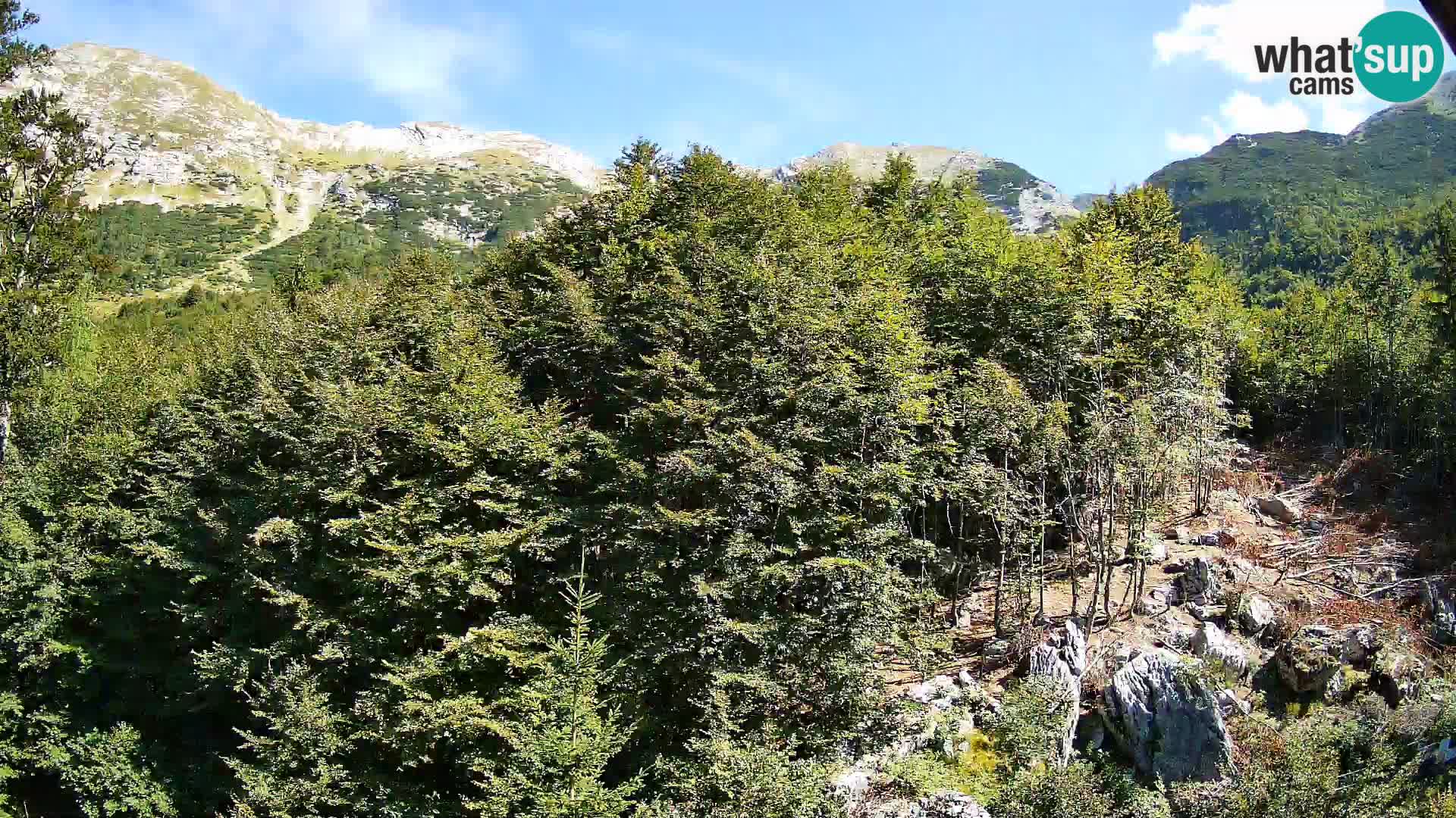 Cámara web PLANINA RAZOR (1315) | vista a Vogel y Globoko