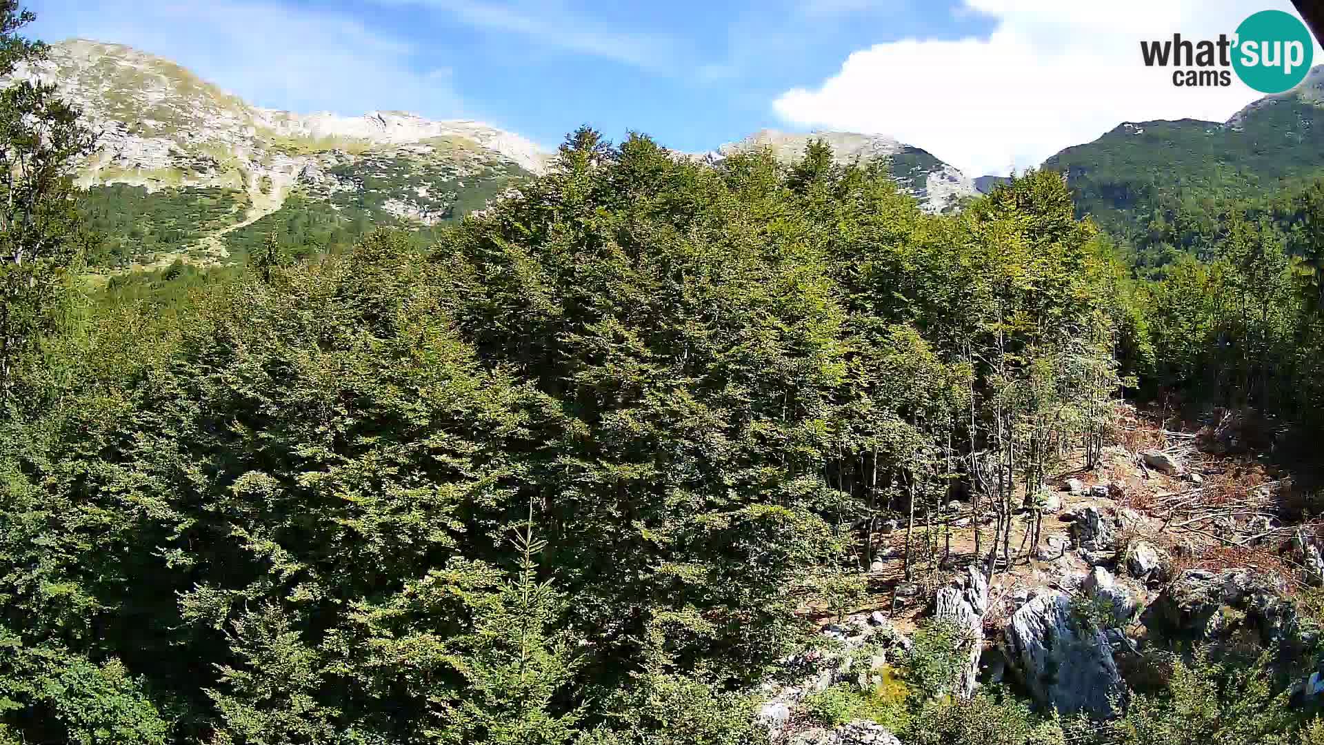 PLANINA RAZOR webcam (1315) | view to Vogel and Globoko