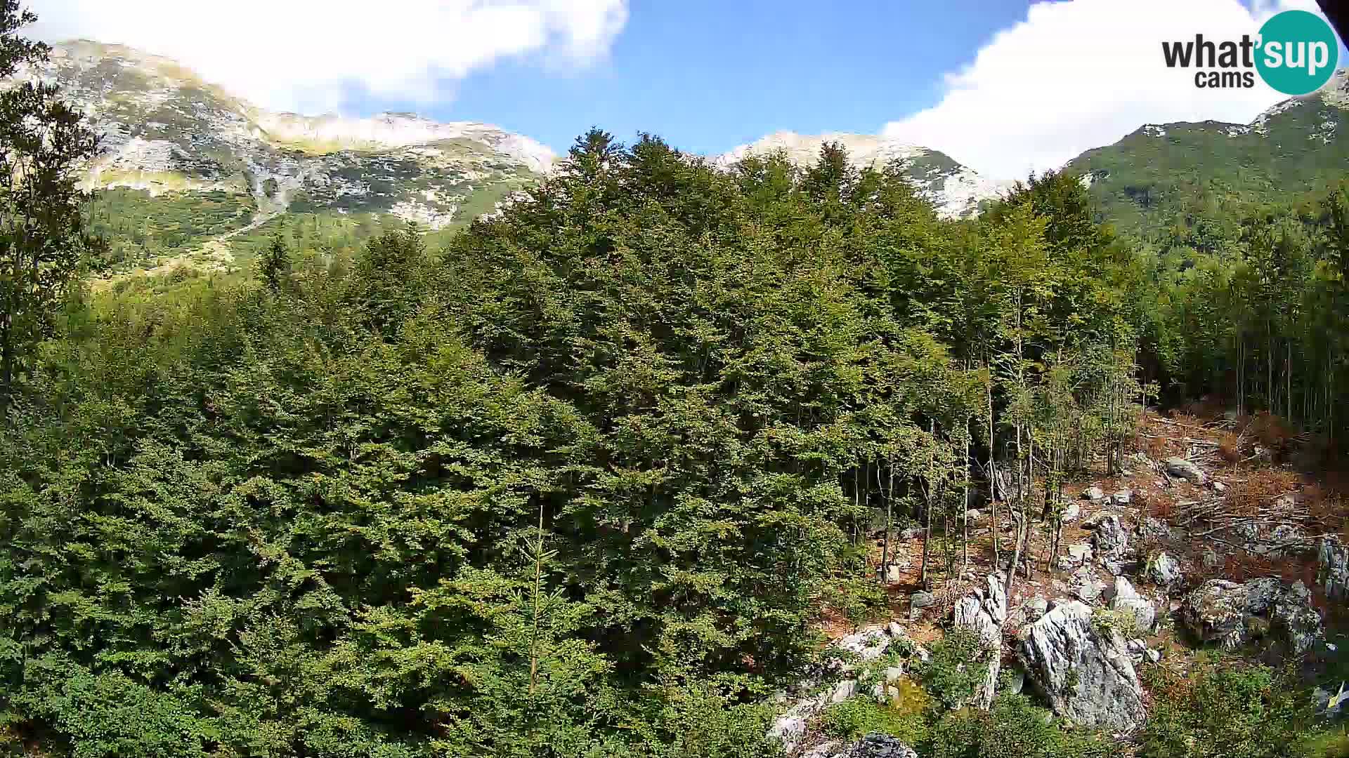 Livecam PLANINA RAZOR (1315) | vue sur Vogel et Globoko