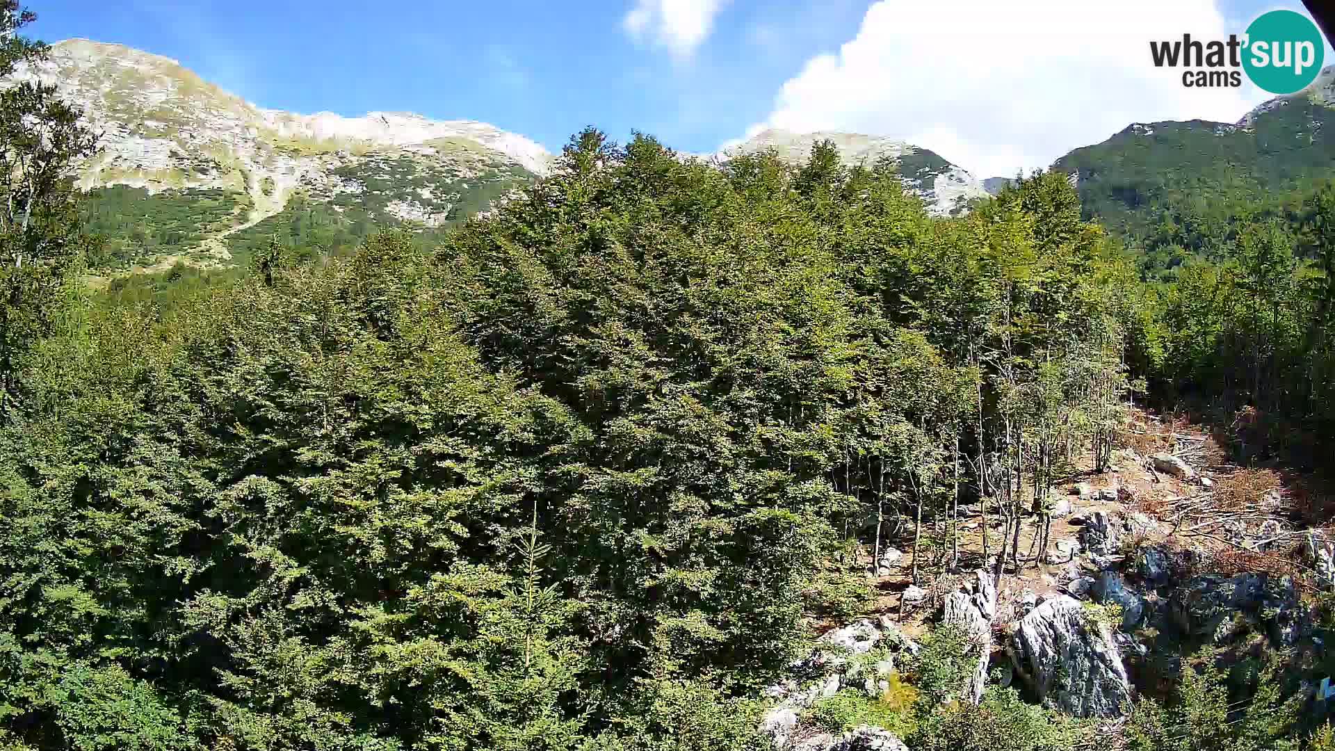 Livecam PLANINA RAZOR (1315) | vue sur Vogel et Globoko