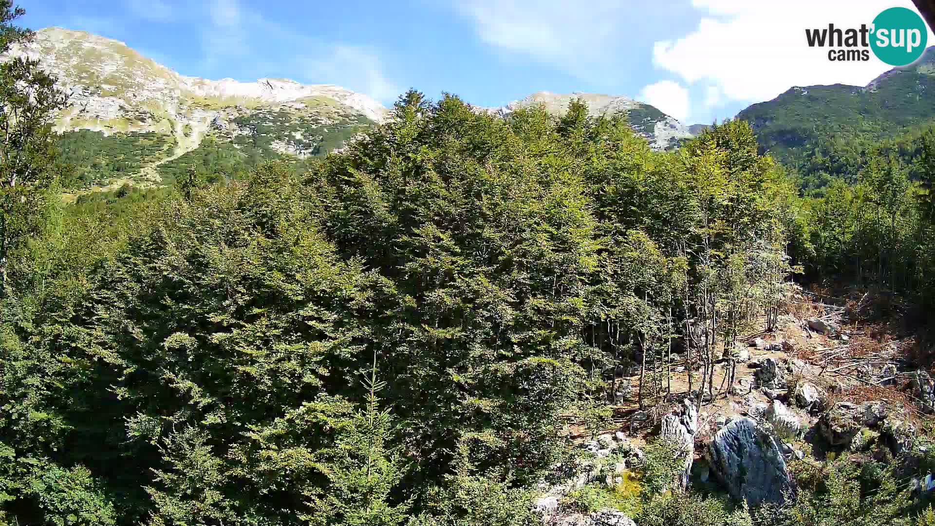 PLANINA RAZOR kamera (1315) | pogled na Vogel in Globoko