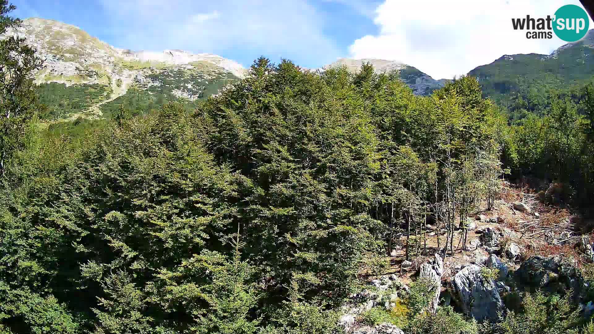 PLANINA RAZOR web kamera (1315) | pogled na Vogel i Globoko