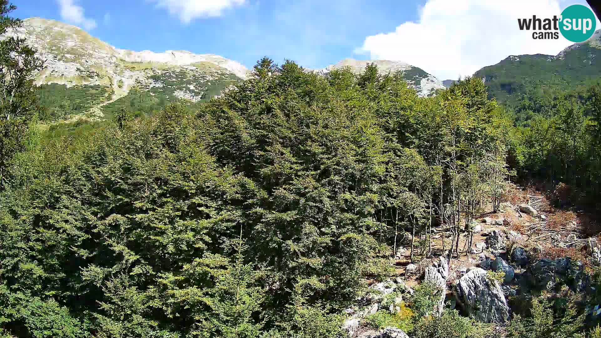 PLANINA RAZOR web kamera (1315) | pogled na Vogel i Globoko