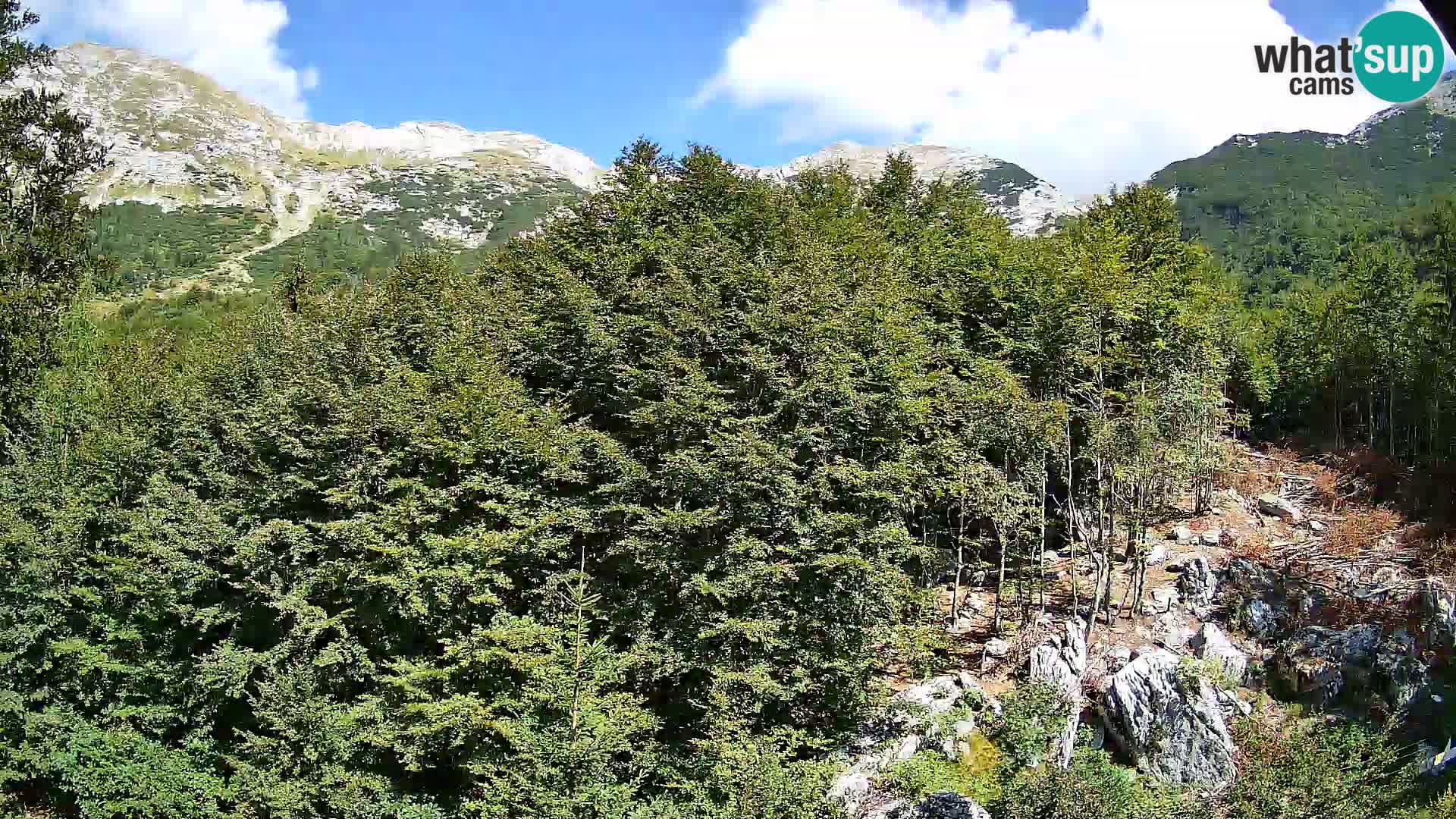 PLANINA RAZOR kamera (1315) | pogled na Vogel in Globoko