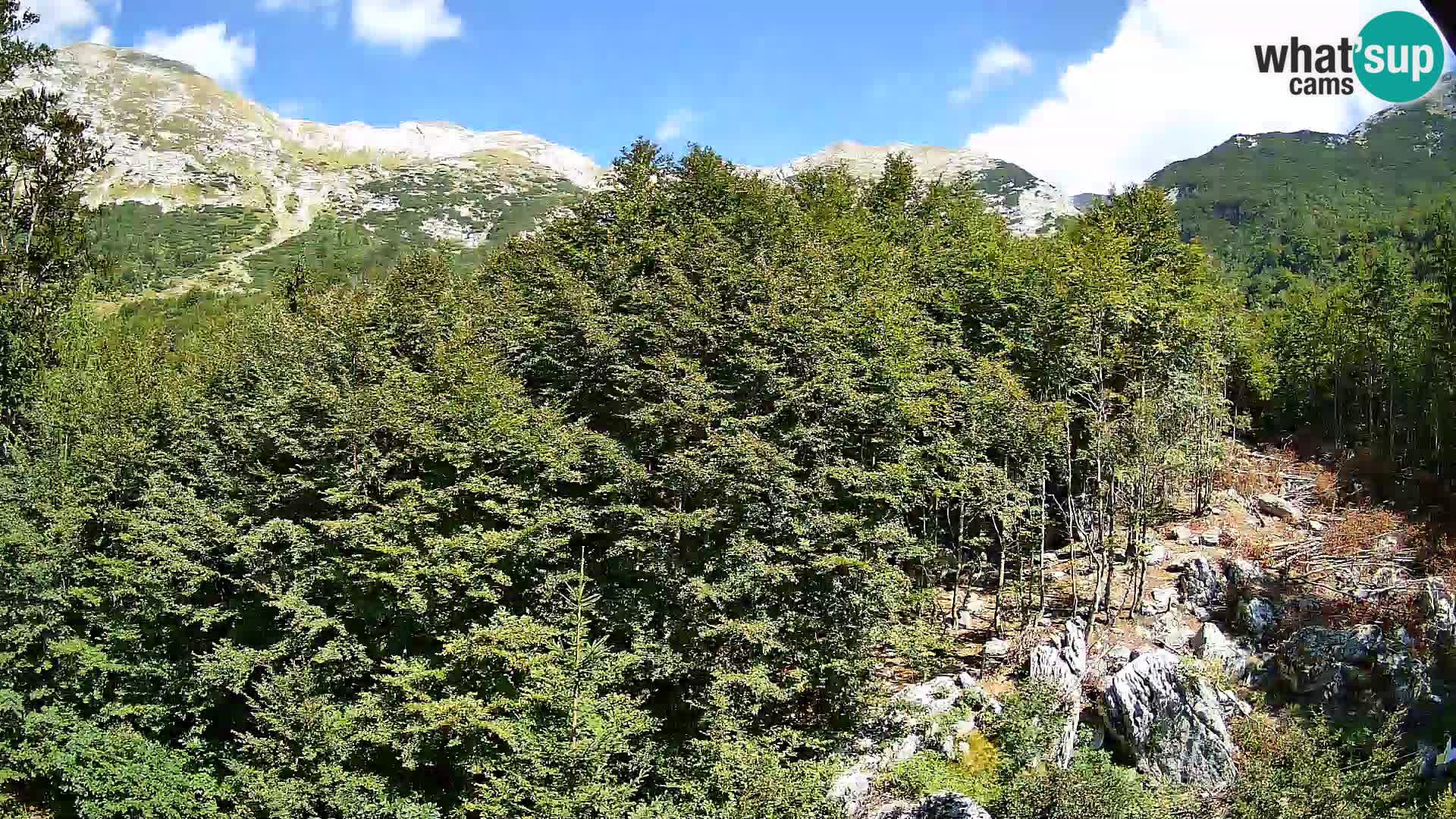 PLANINA RAZOR webcam (1315) | view to Vogel and Globoko