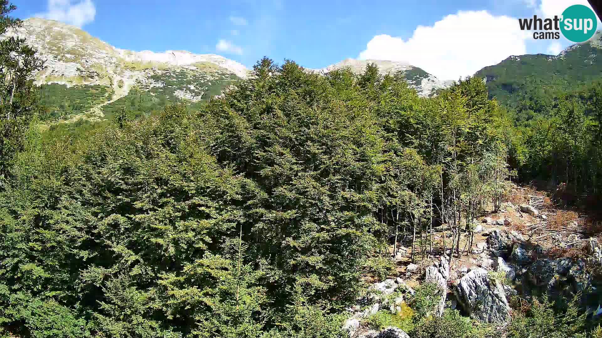 Cámara web PLANINA RAZOR (1315) | vista a Vogel y Globoko