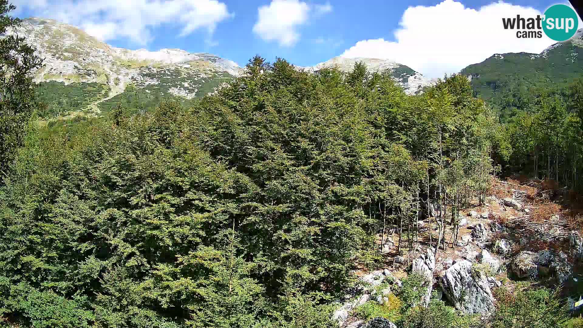 PLANINA RAZOR web kamera (1315) | pogled na Vogel i Globoko