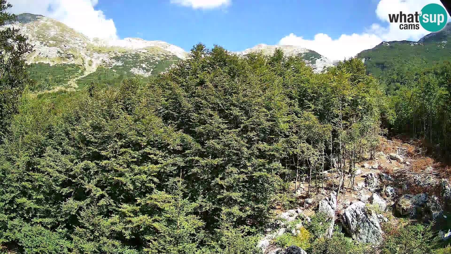 PLANINA RAZOR web kamera (1315) | pogled na Vogel i Globoko