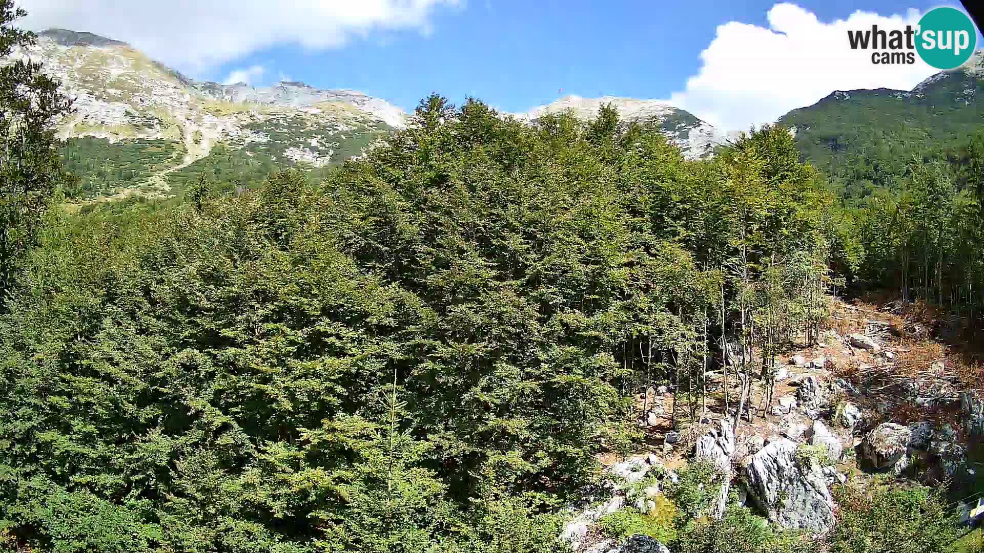 PLANINA RAZOR kamera (1315) | pogled na Vogel in Globoko