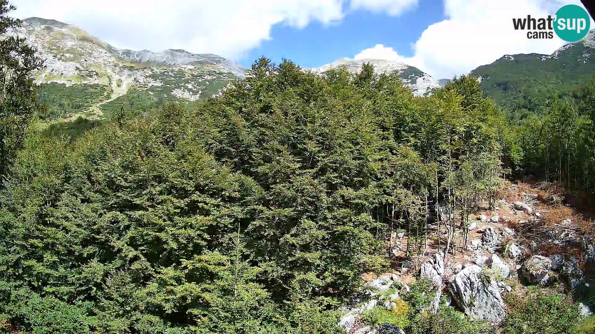 PLANINA RAZOR kamera (1315) | pogled na Vogel in Globoko