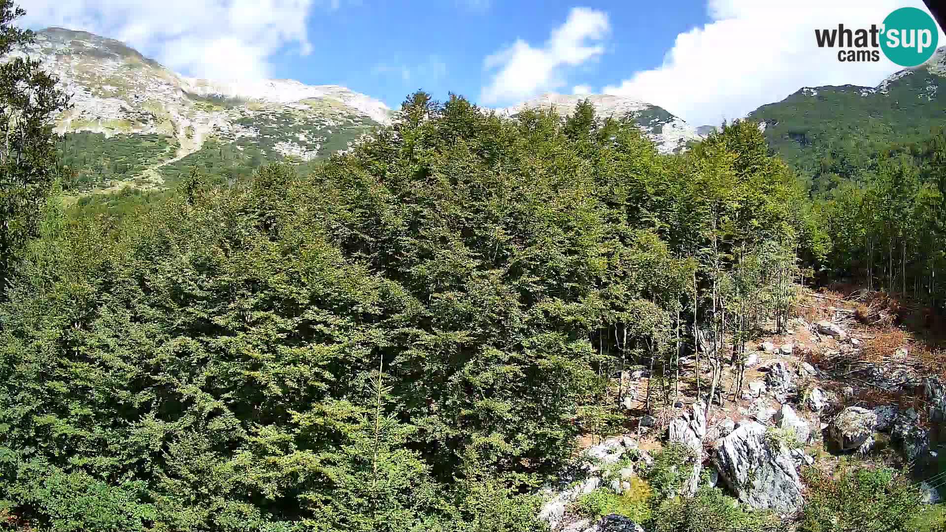 Cámara web PLANINA RAZOR (1315) | vista a Vogel y Globoko