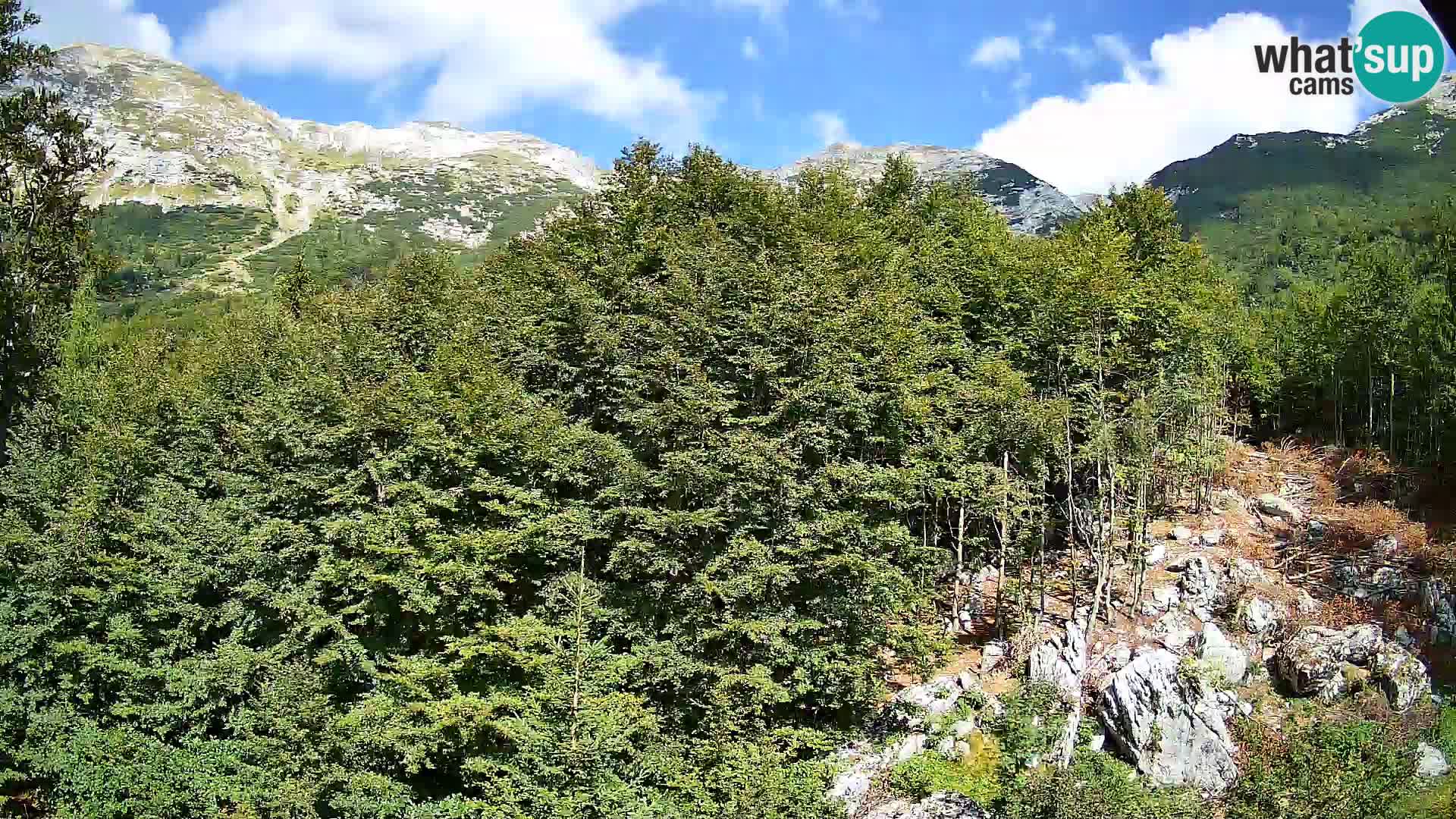 Webcam PLANINA RAZOR (1315) | Blick auf Vogel und Globoko