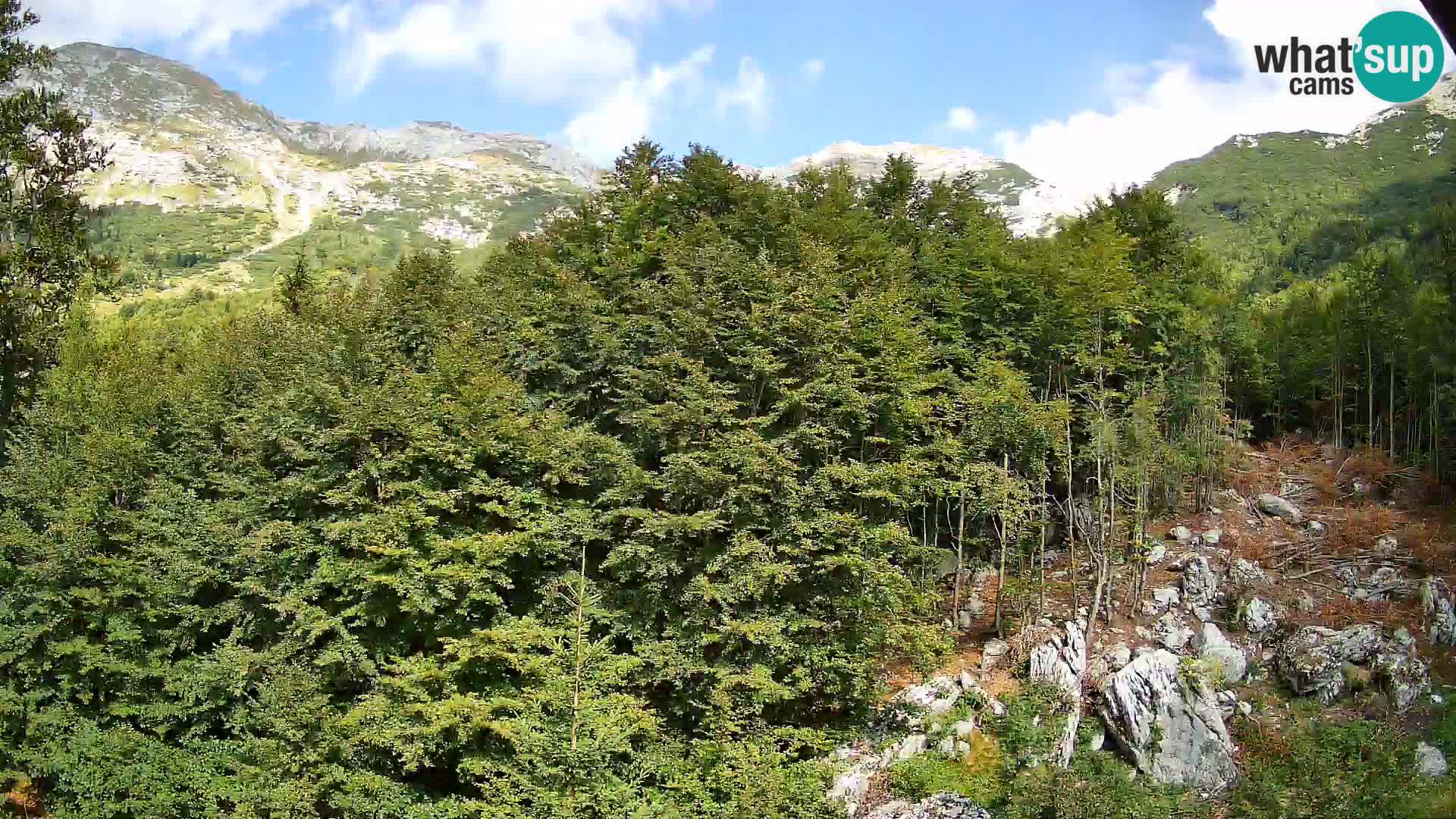 PLANINA RAZOR kamera (1315) | pogled na Vogel in Globoko