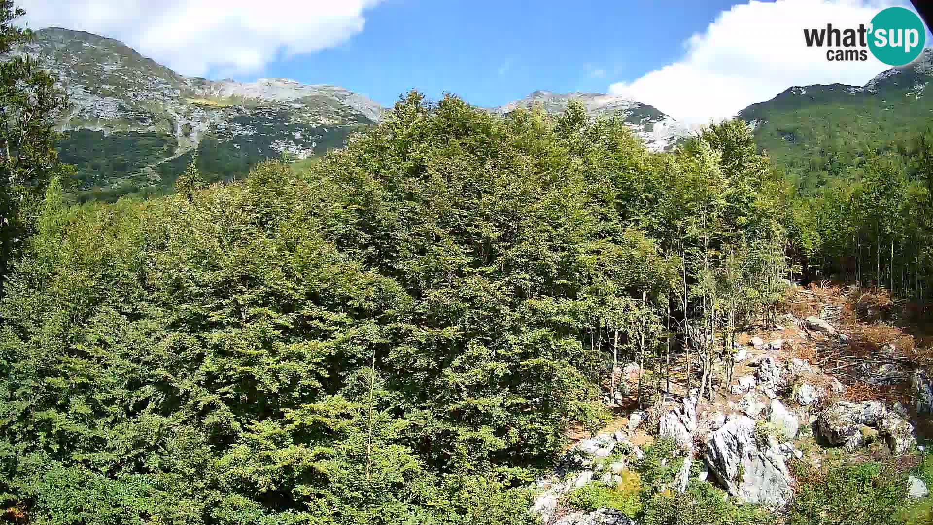 PLANINA RAZOR web kamera (1315) | pogled na Vogel i Globoko