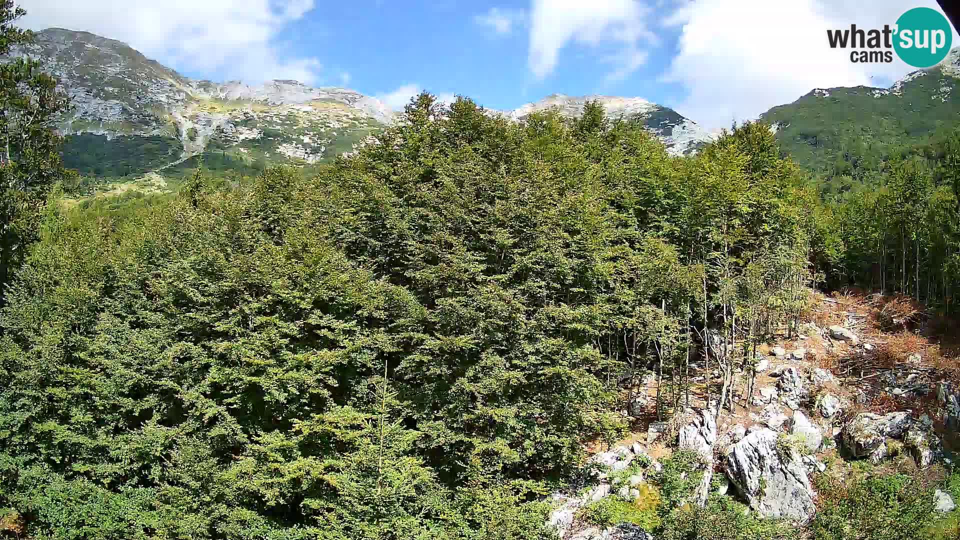 Cámara web PLANINA RAZOR (1315) | vista a Vogel y Globoko