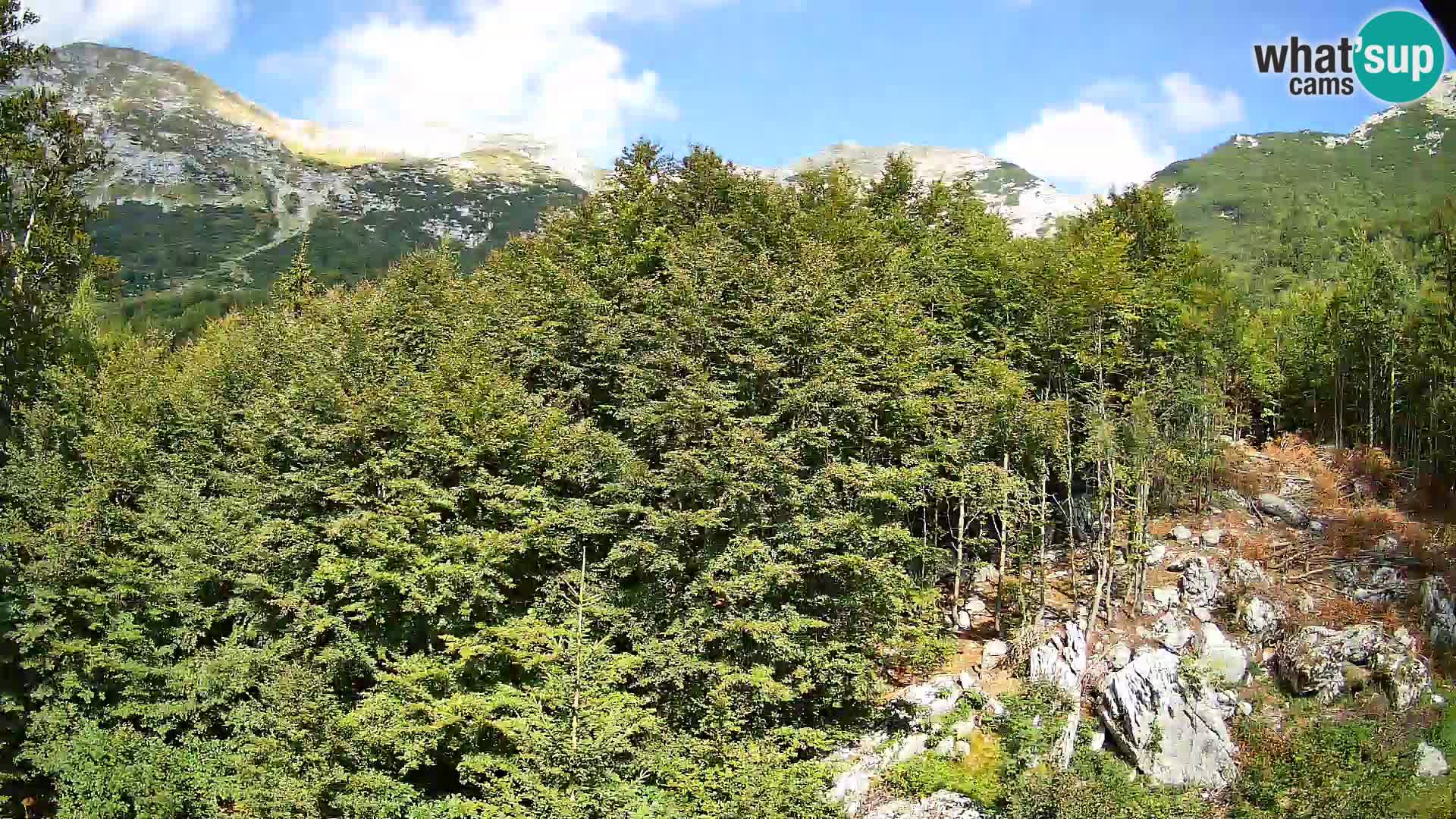 Cámara web PLANINA RAZOR (1315) | vista a Vogel y Globoko