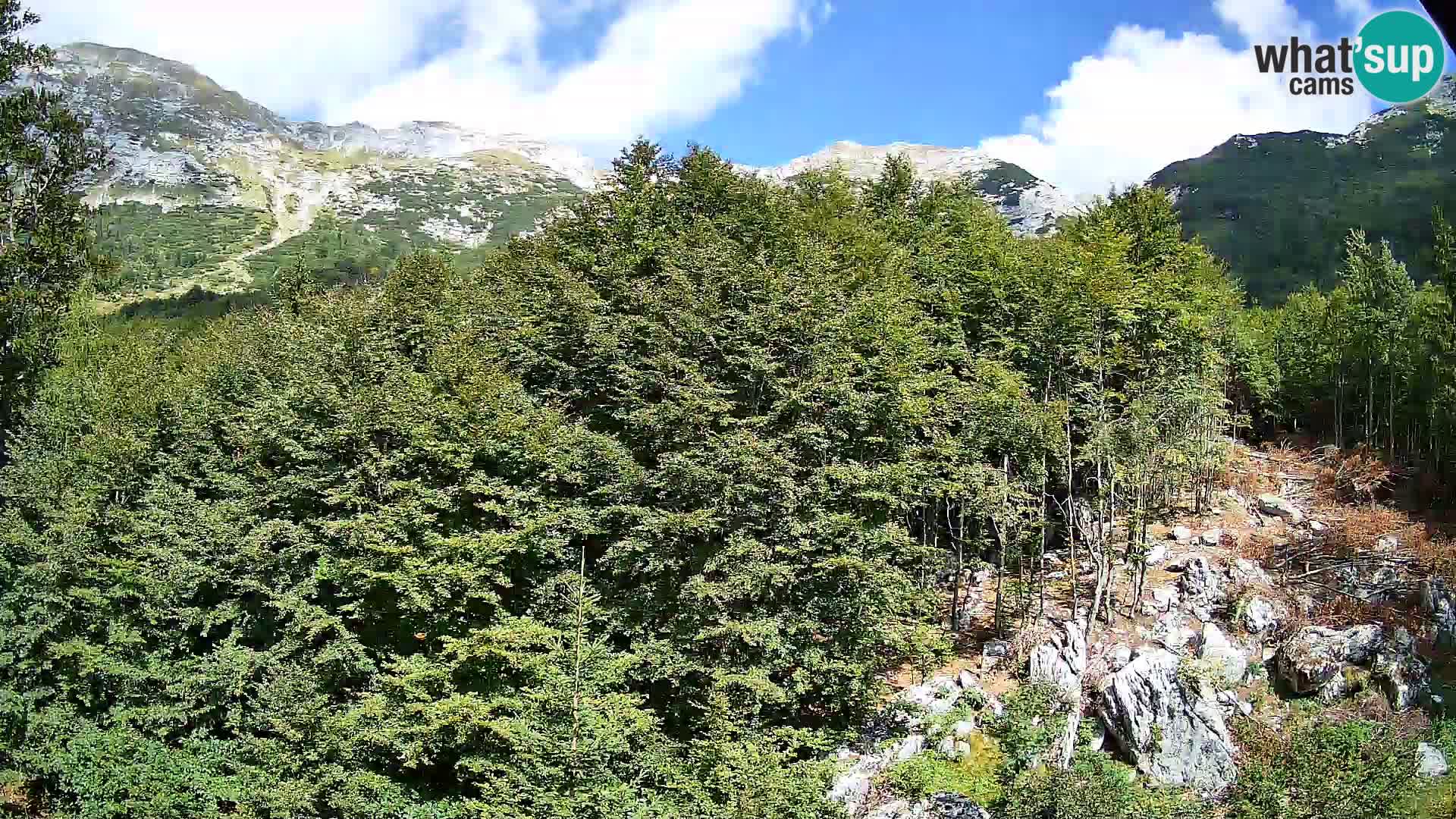 PLANINA RAZOR kamera (1315) | pogled na Vogel in Globoko