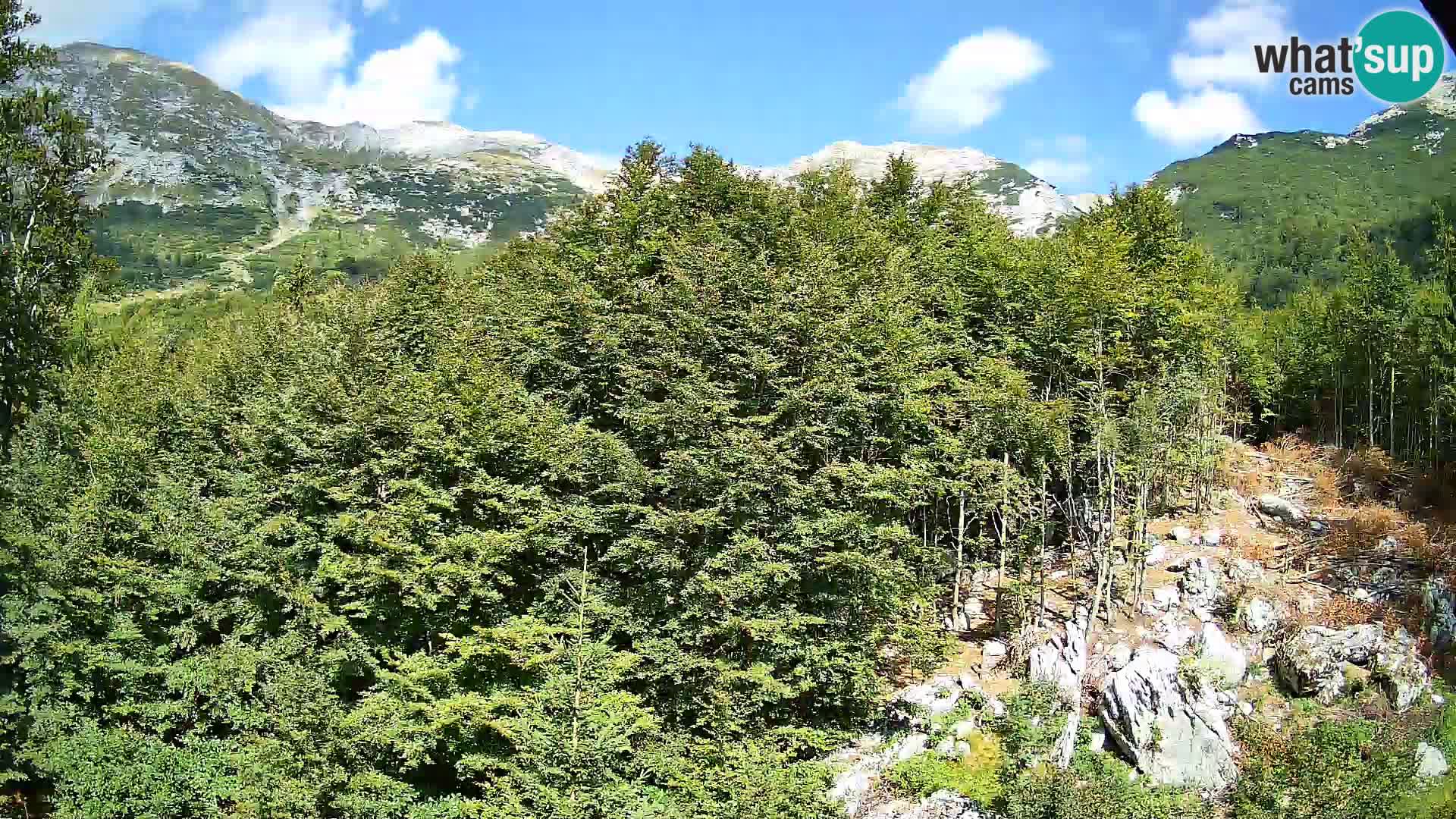 PLANINA RAZOR web kamera (1315) | pogled na Vogel i Globoko