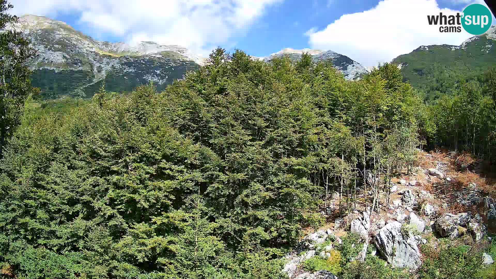 Cámara web PLANINA RAZOR (1315) | vista a Vogel y Globoko