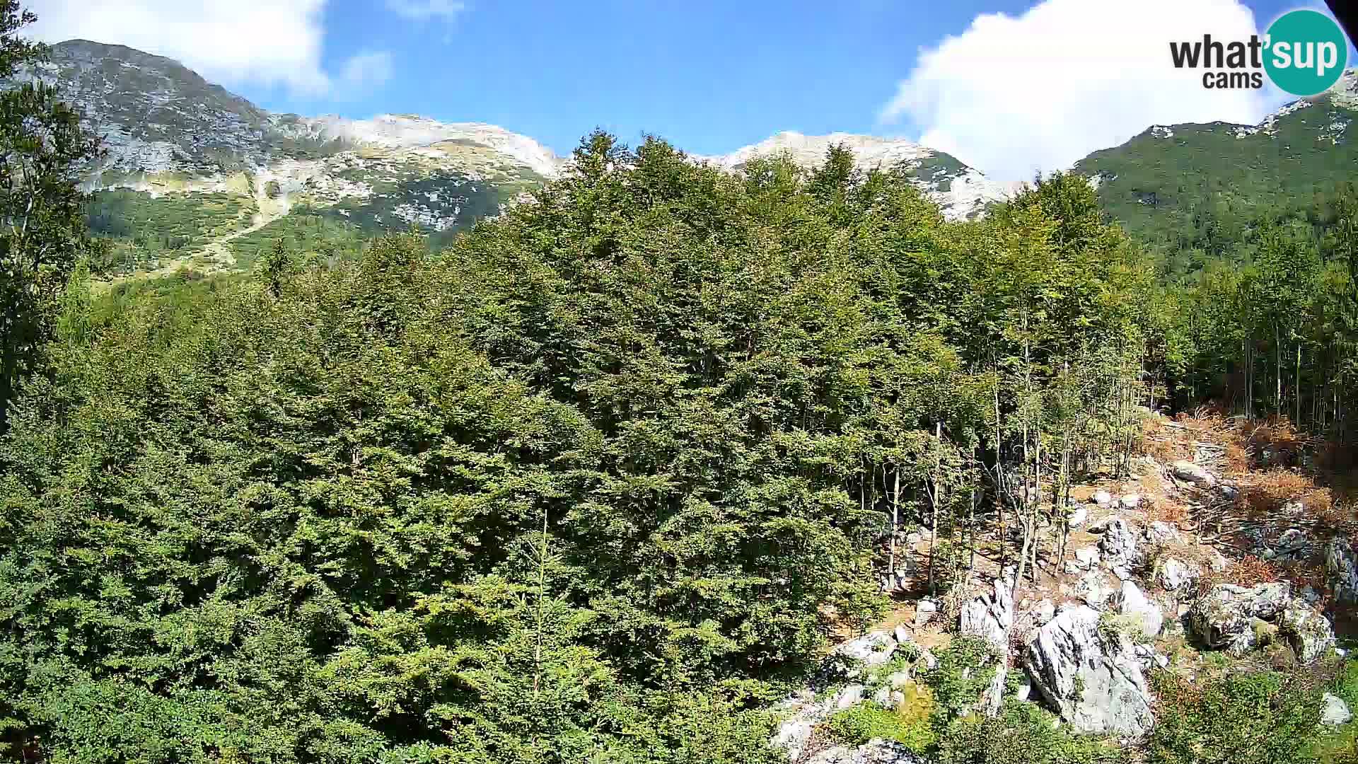 Cámara web PLANINA RAZOR (1315) | vista a Vogel y Globoko