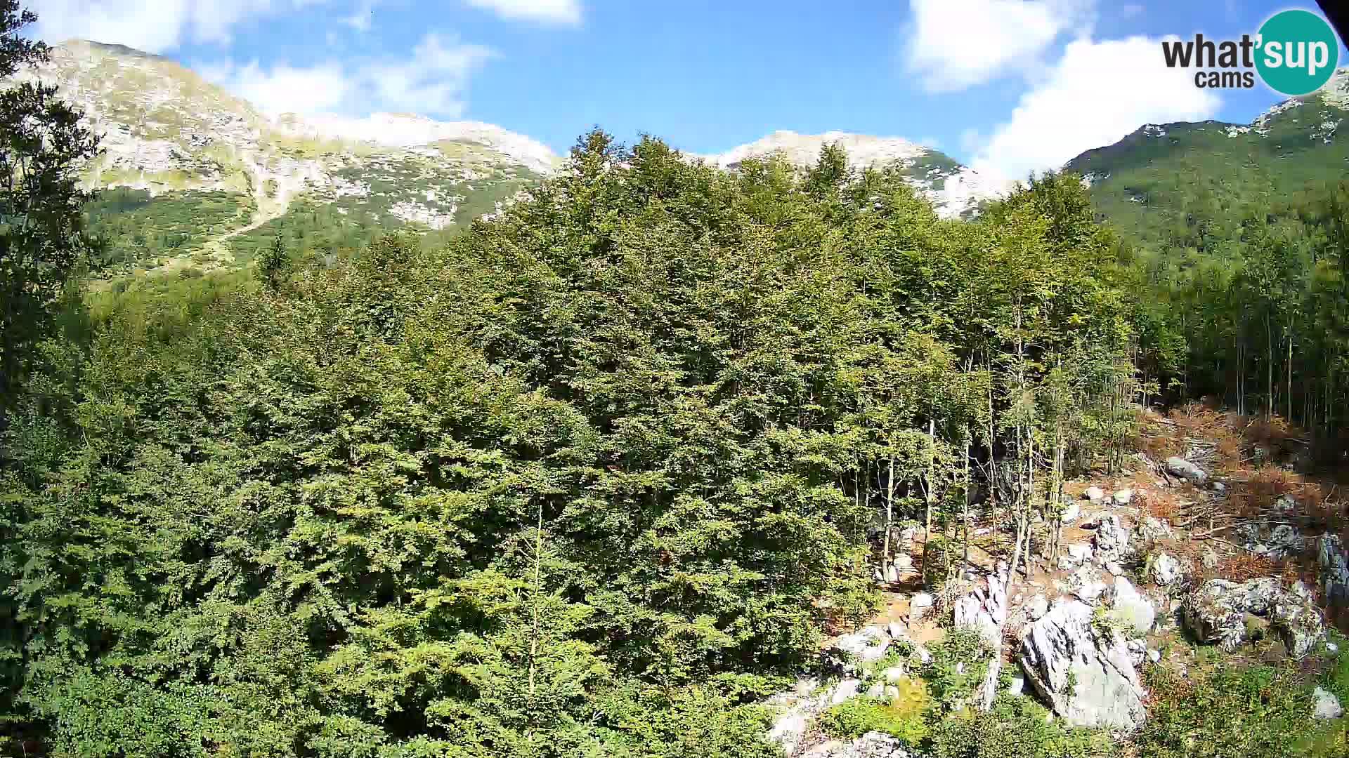 PLANINA RAZOR kamera (1315) | pogled na Vogel in Globoko