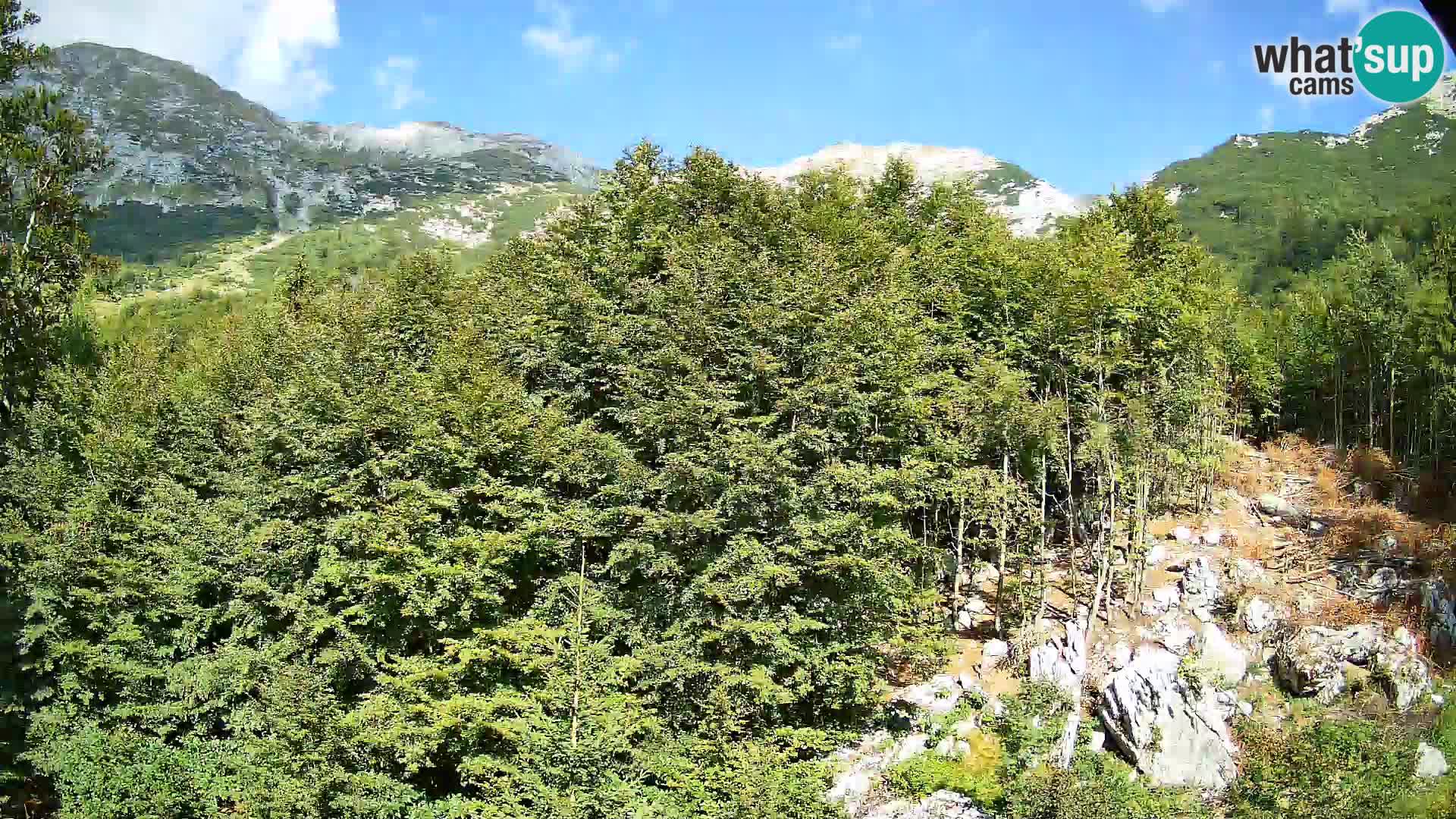 Livecam PLANINA RAZOR (1315) | vue sur Vogel et Globoko