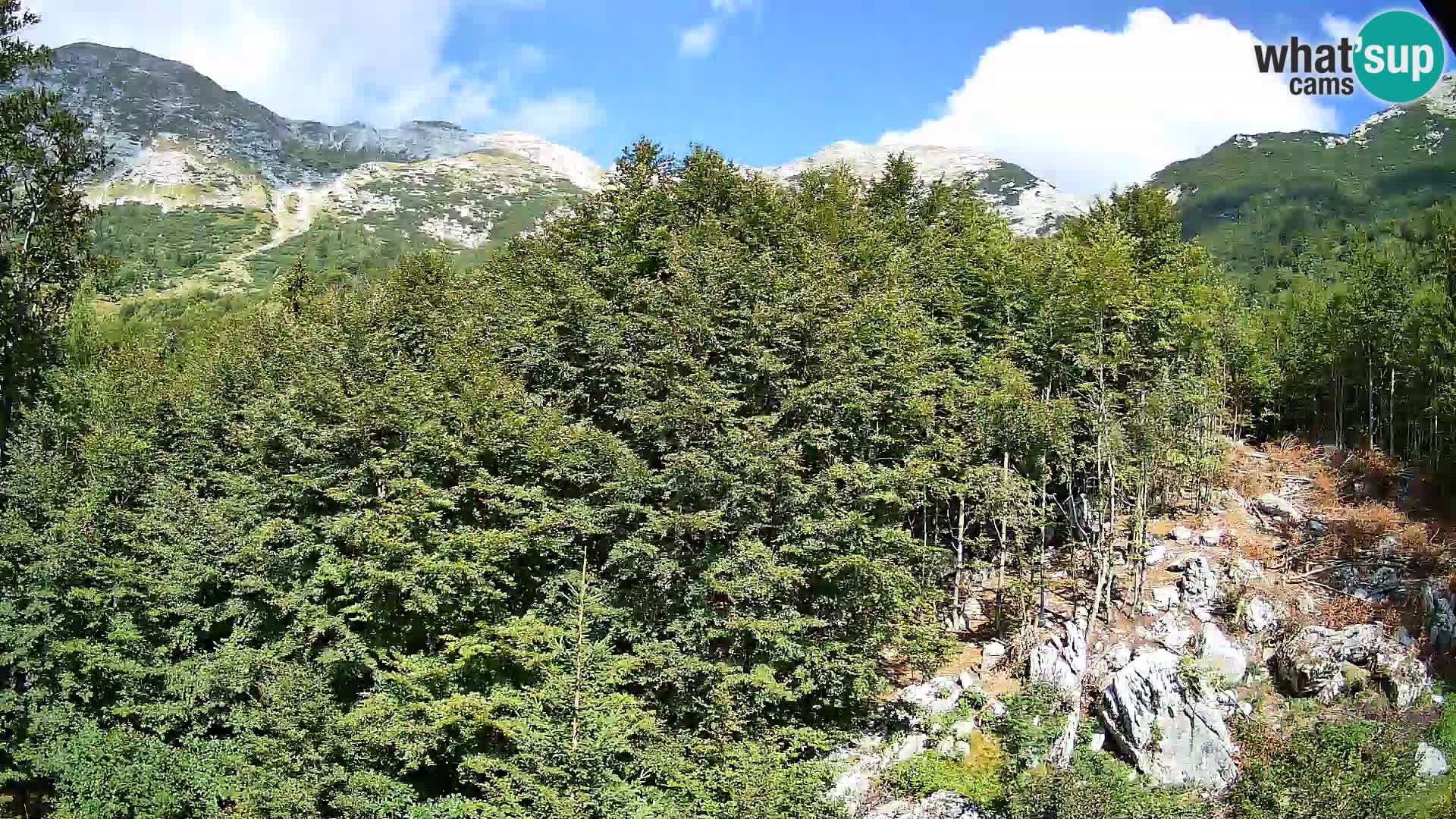 PLANINA RAZOR kamera (1315) | pogled na Vogel in Globoko