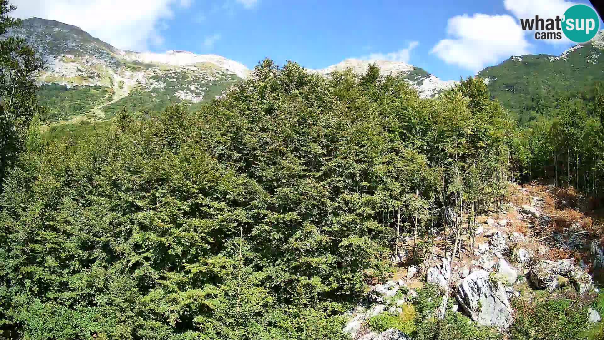 PLANINA RAZOR kamera (1315) | pogled na Vogel in Globoko